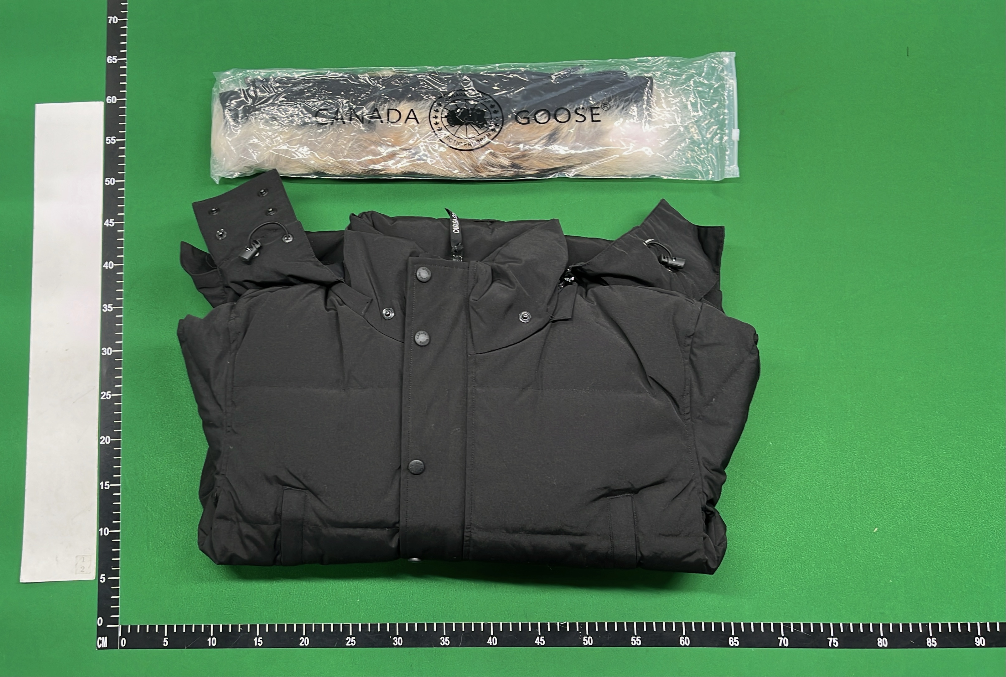 Canada Goose Down Jacket with Fur Trim Hood