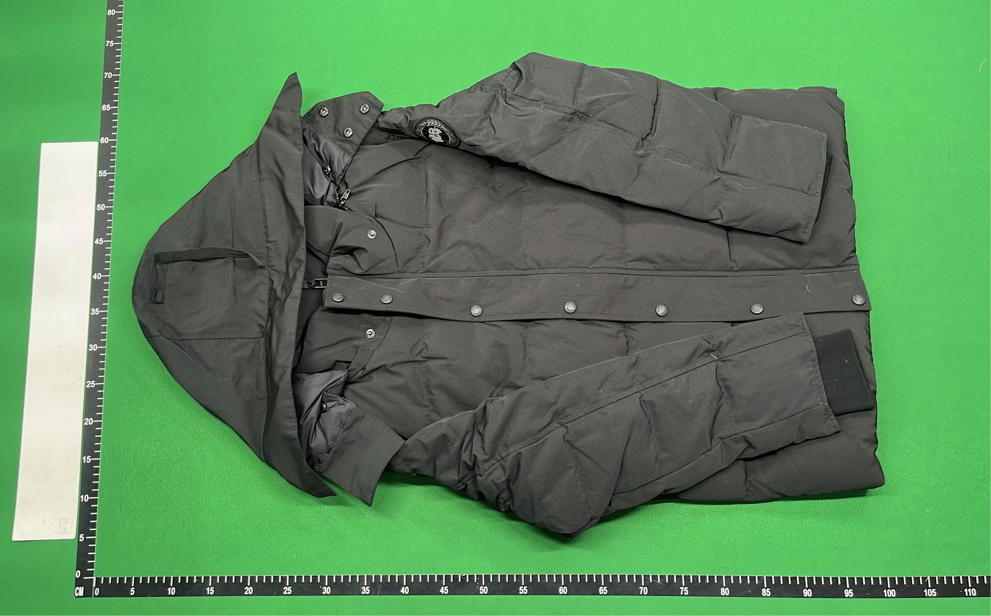 Canada Goose Down Jacket with Fur Trim Hood