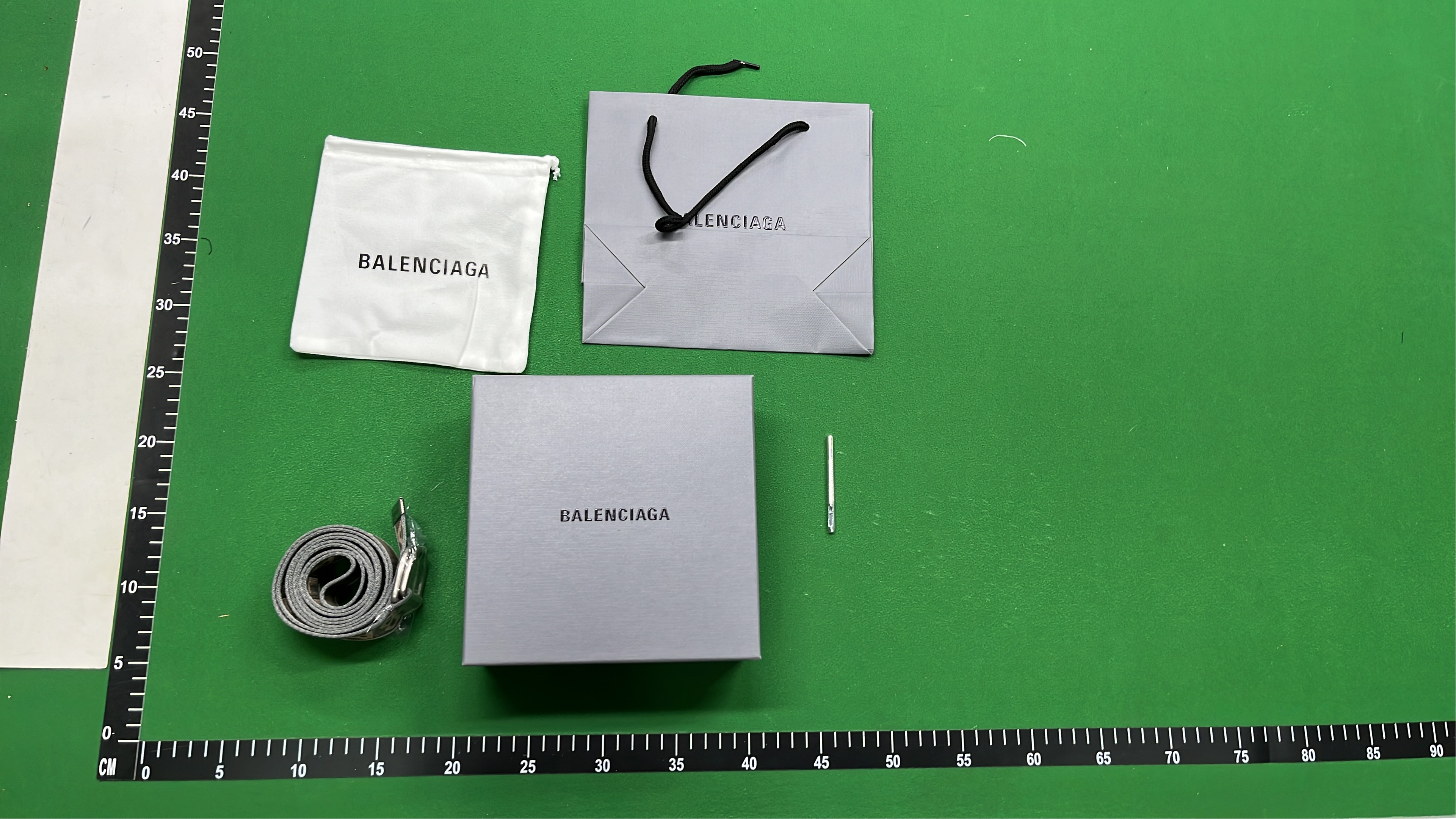 Balenciaga Logo Webbing Belt Strap with Metal Ring