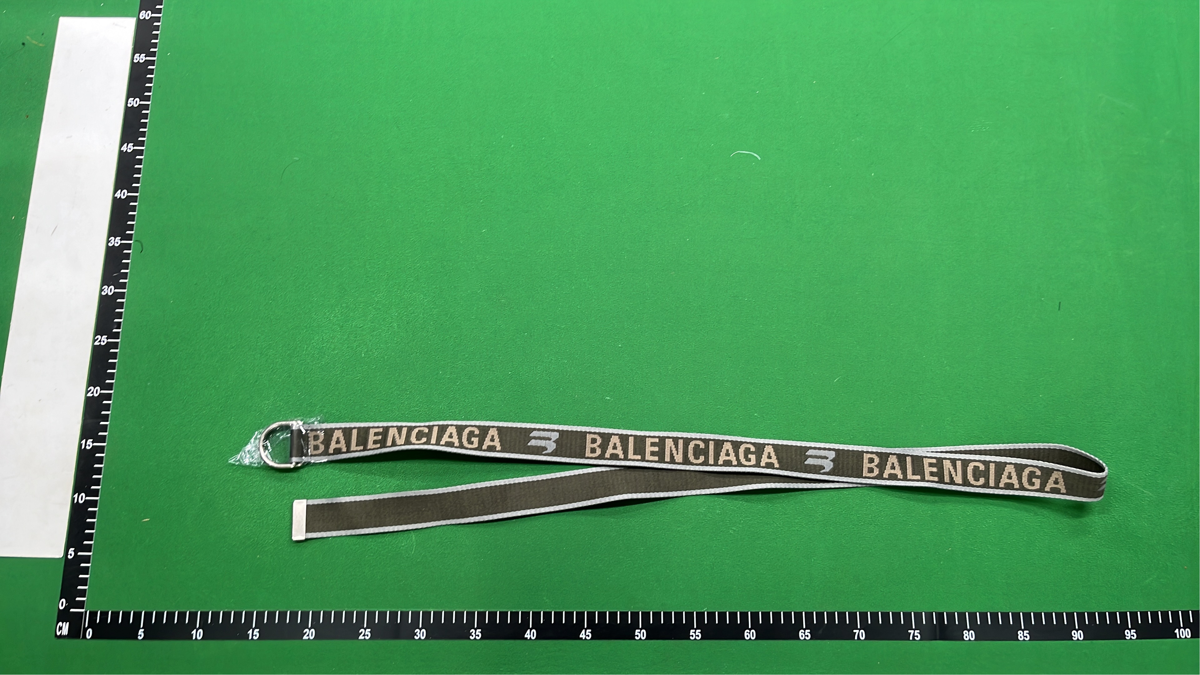 Balenciaga Logo Webbing Belt Strap with Metal Ring