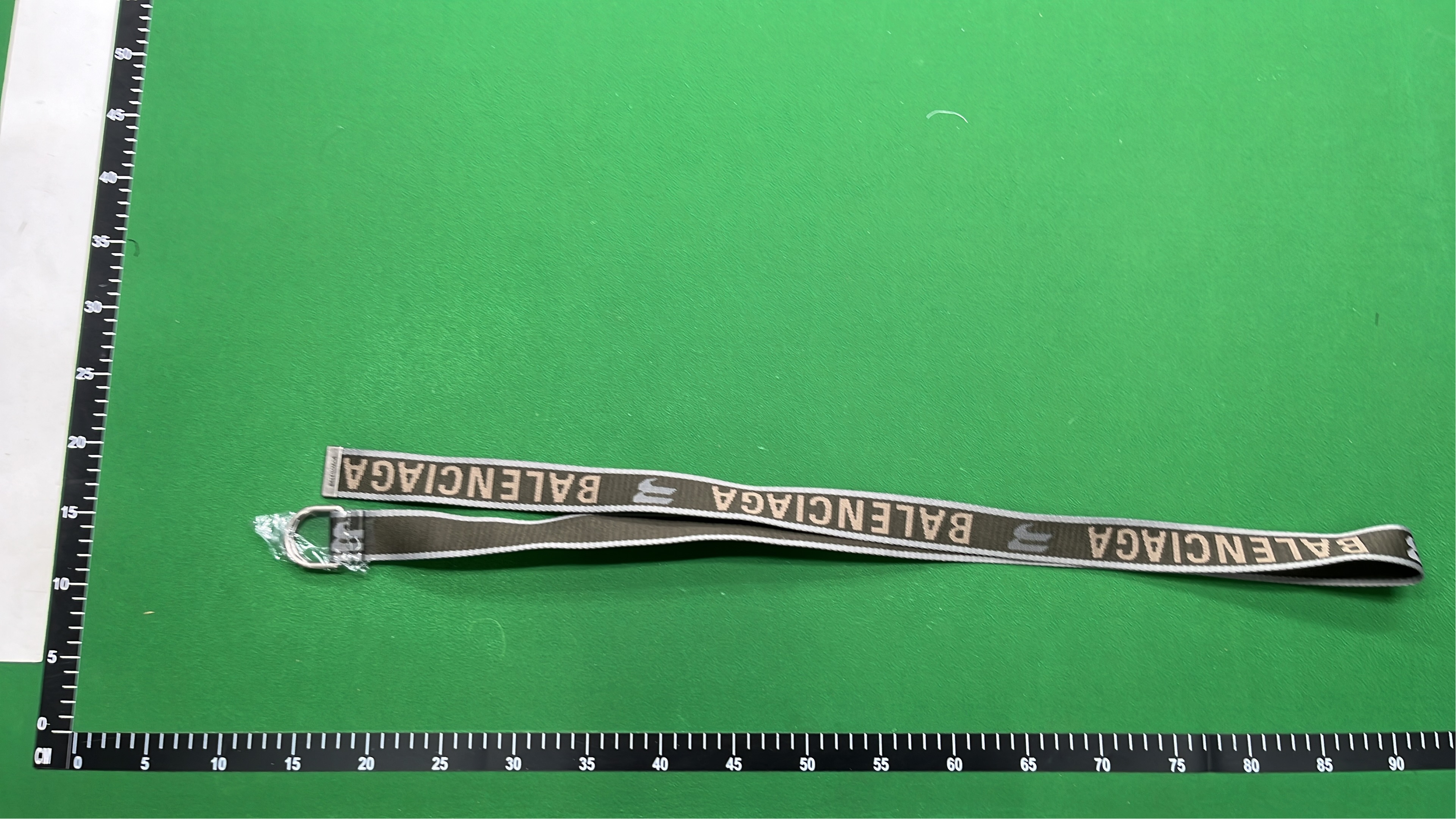 Balenciaga Logo Webbing Belt Strap with Metal Ring
