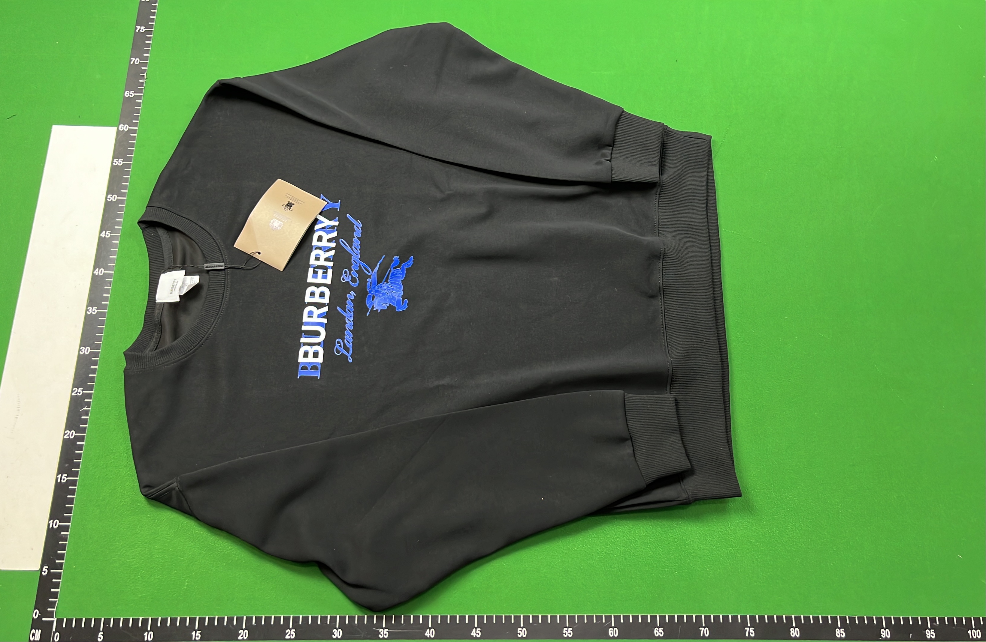 Burberry Logo Print Sweatshirt for Men and Women