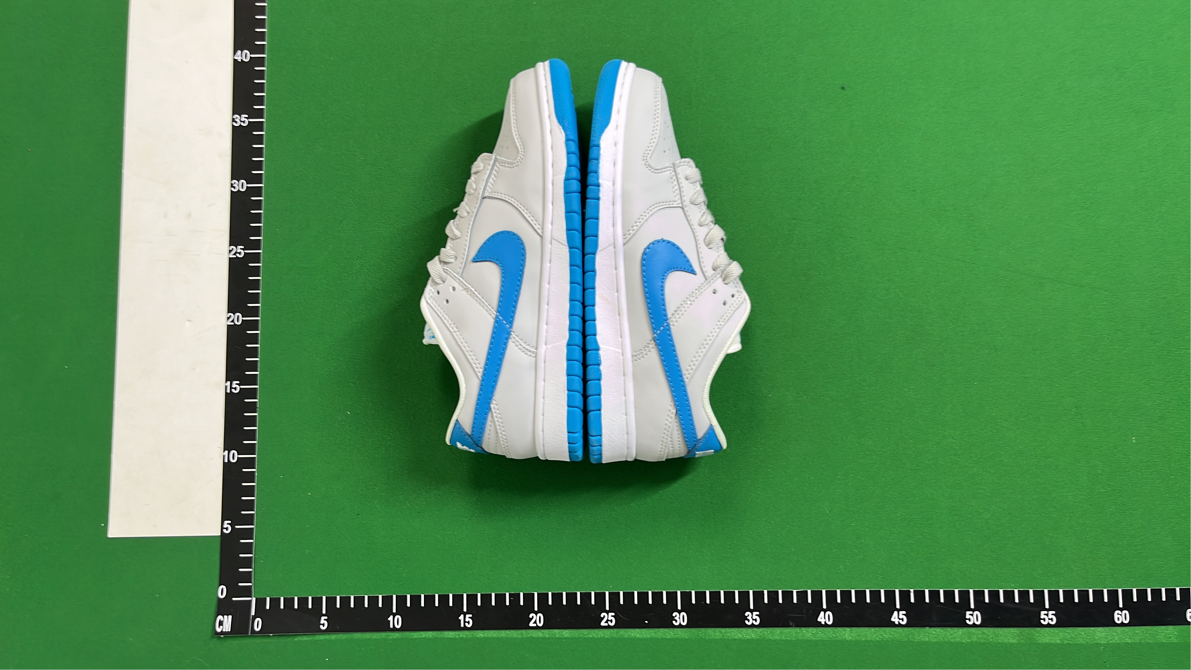 Nike Dunk Low Retro Shoes