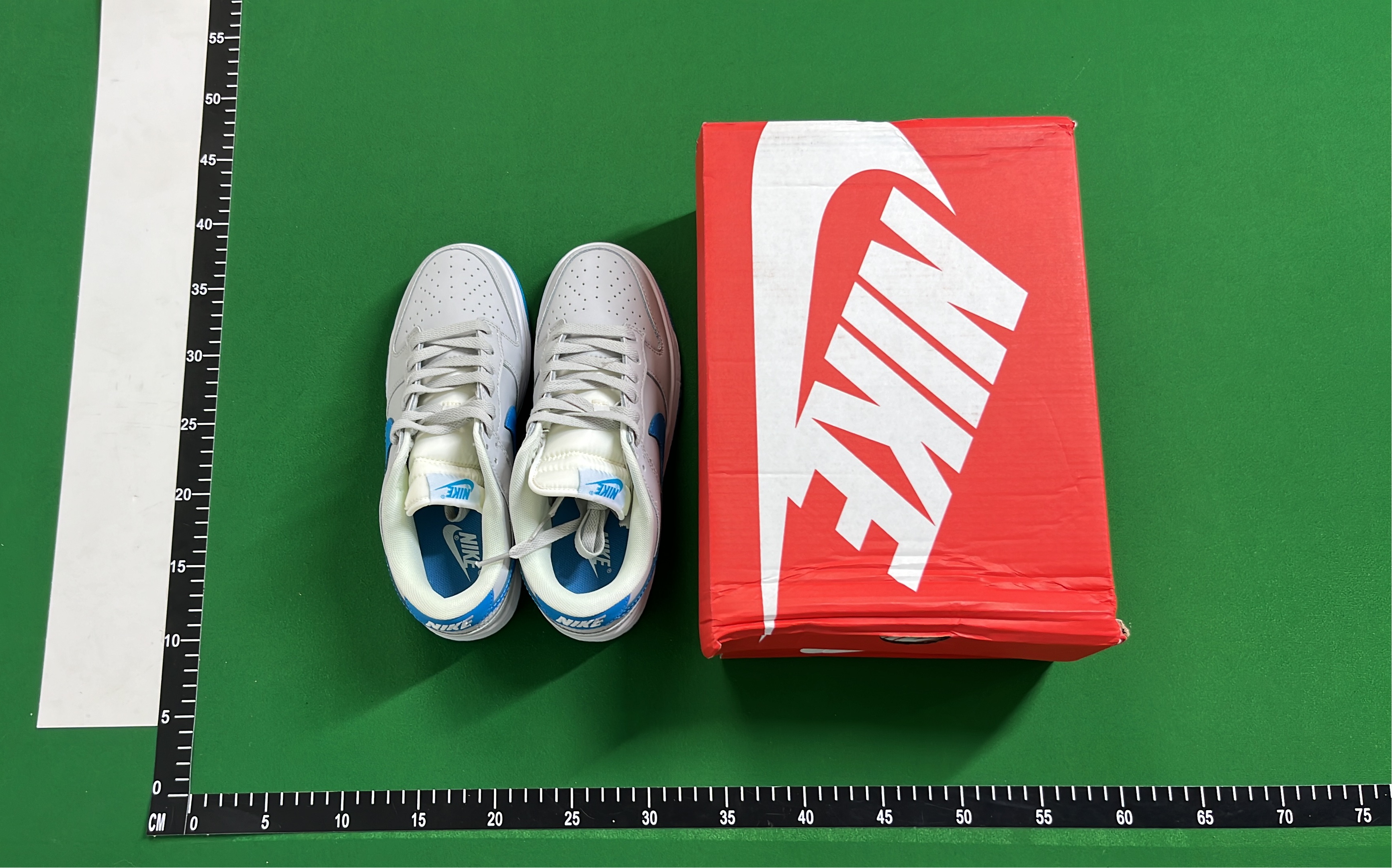 Nike Dunk Low Retro Shoes