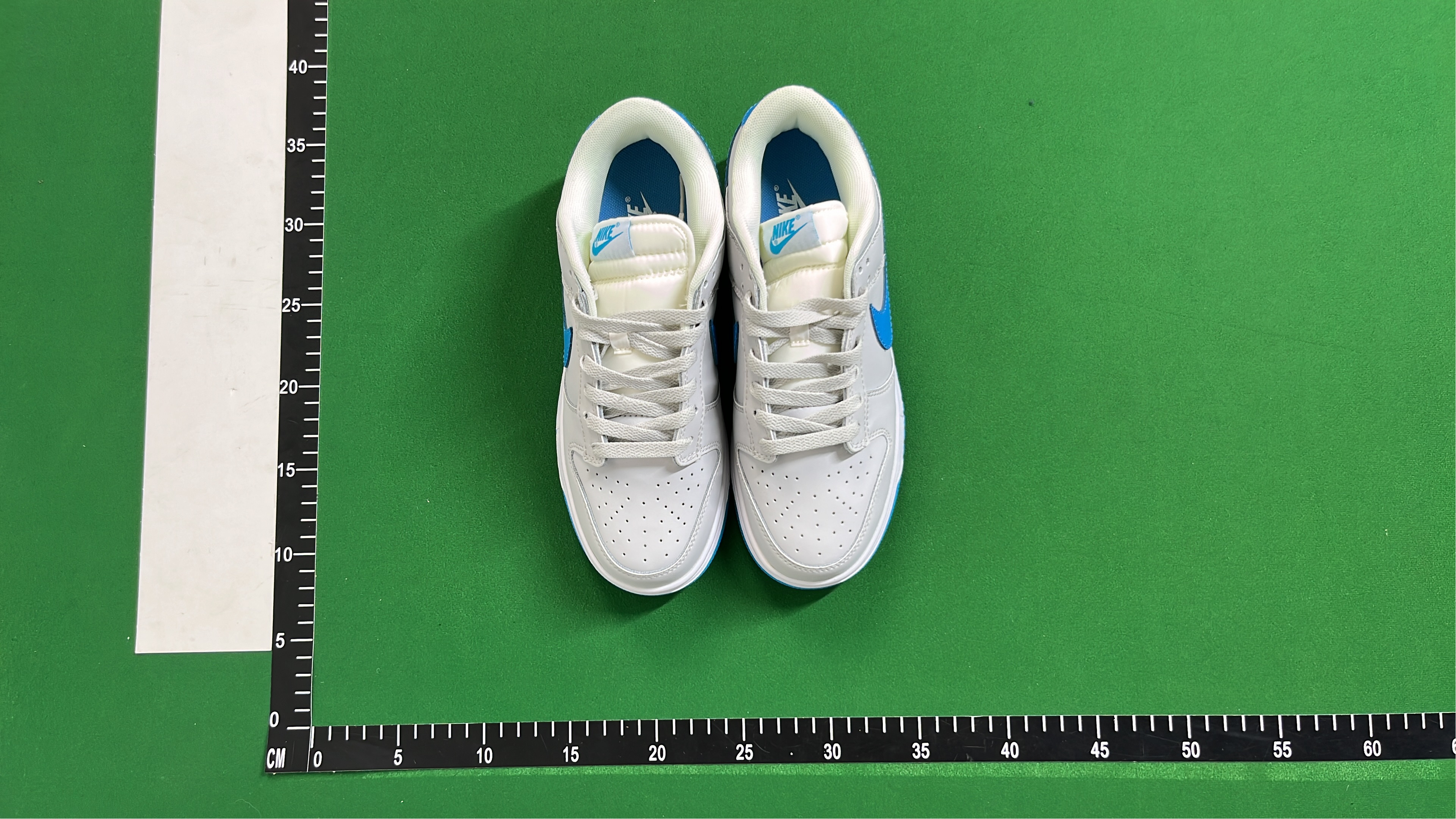 Nike Dunk Low Retro Shoes
