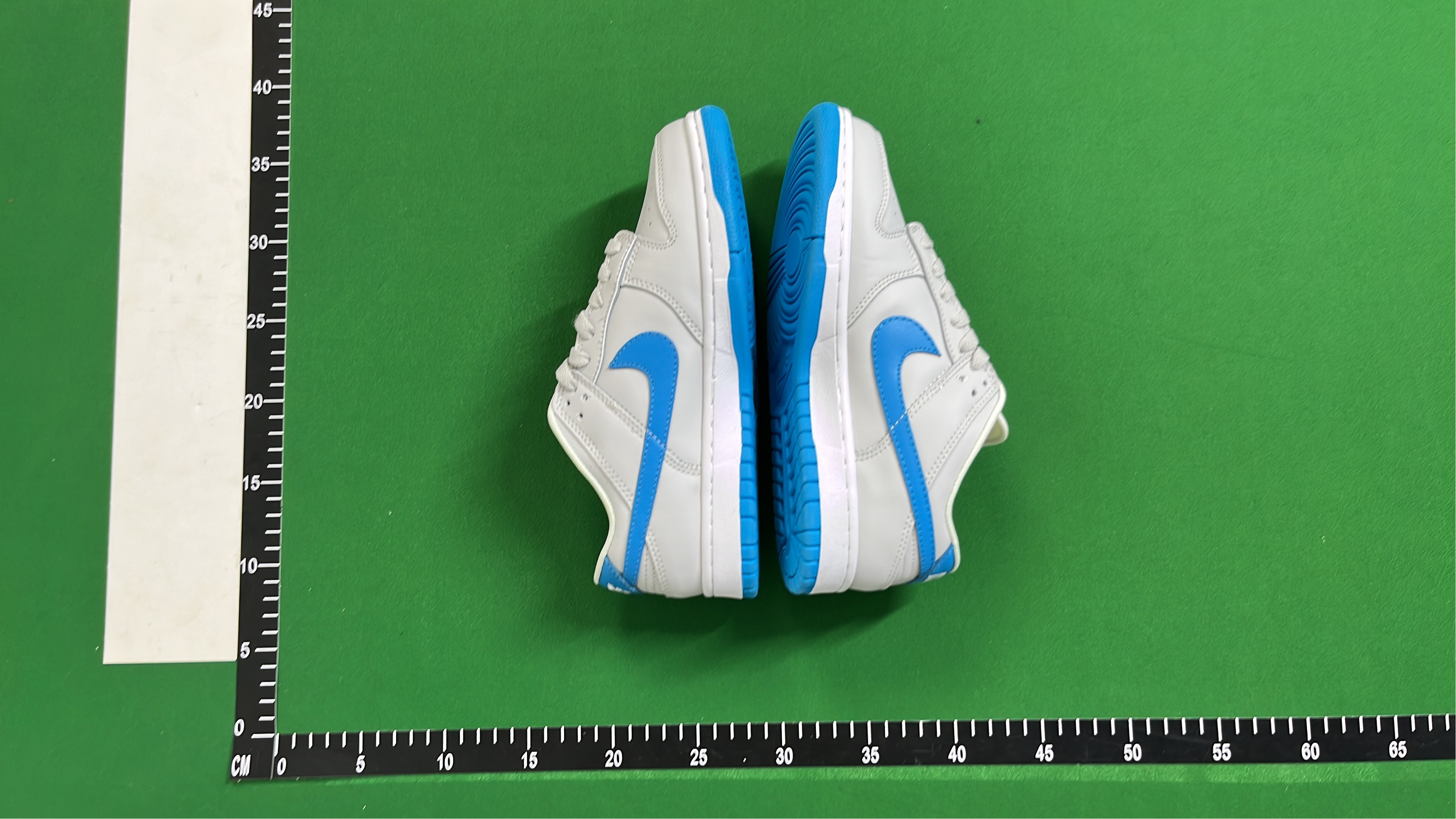 Nike Dunk Low Retro Shoes