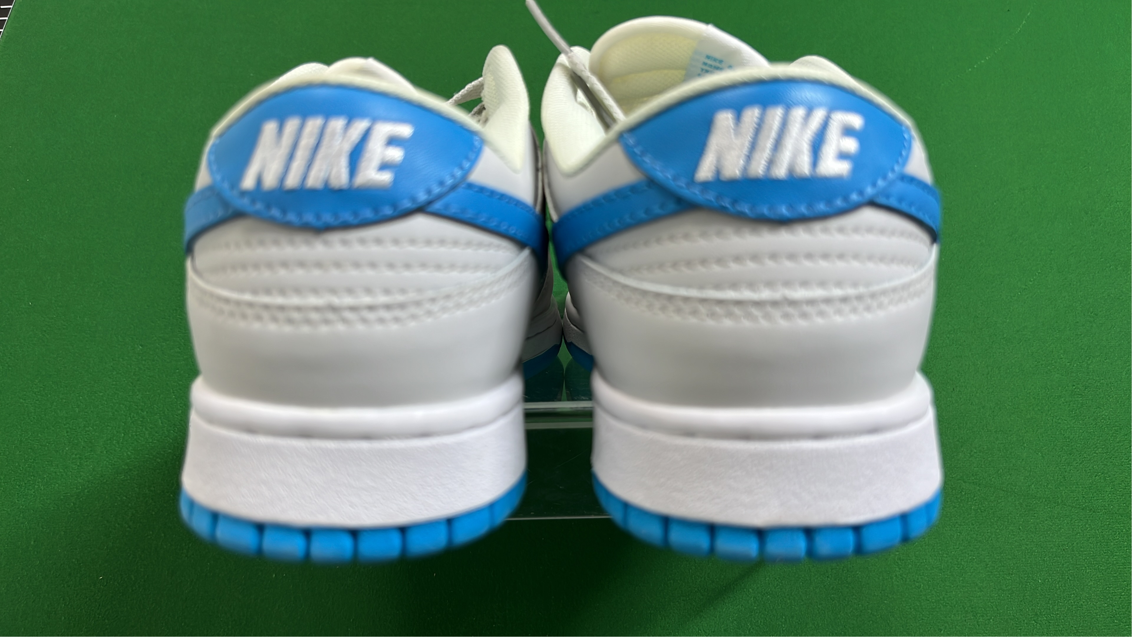 Nike Dunk Low Retro Shoes