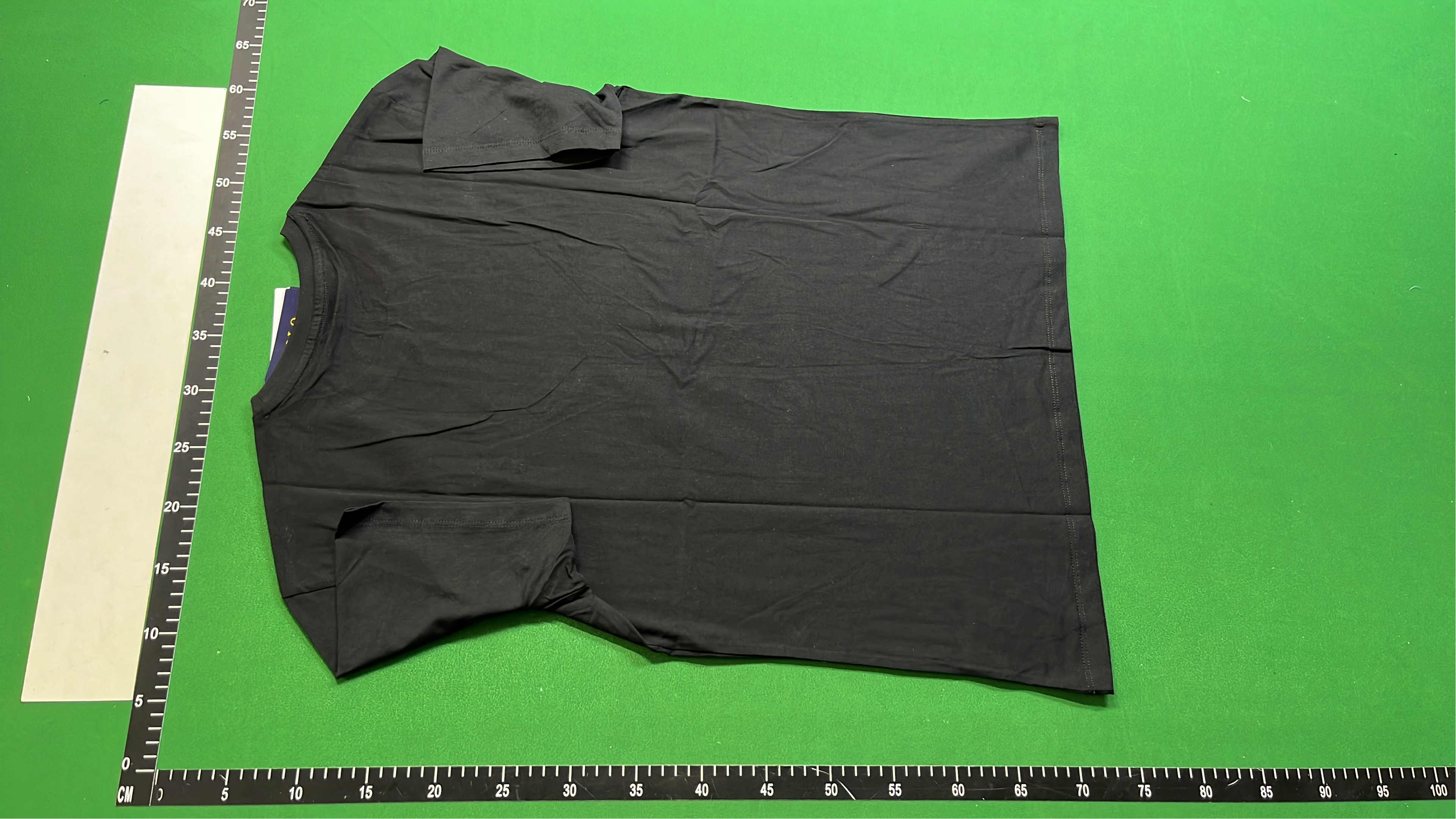 Polo Ralph Lauren Classic Cotton T-Shirt for Men