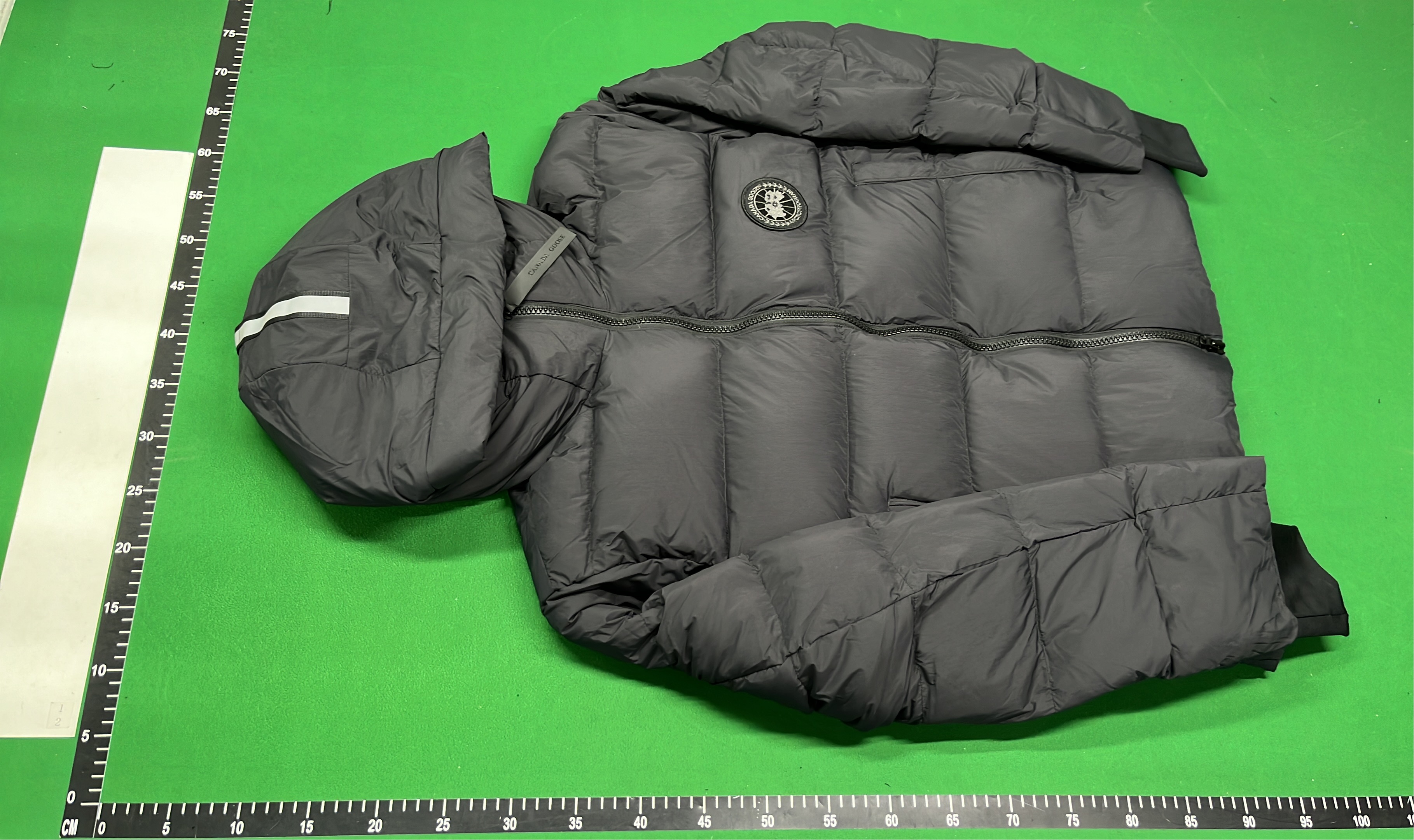 Canada Goose Puffer Jacket with Hood