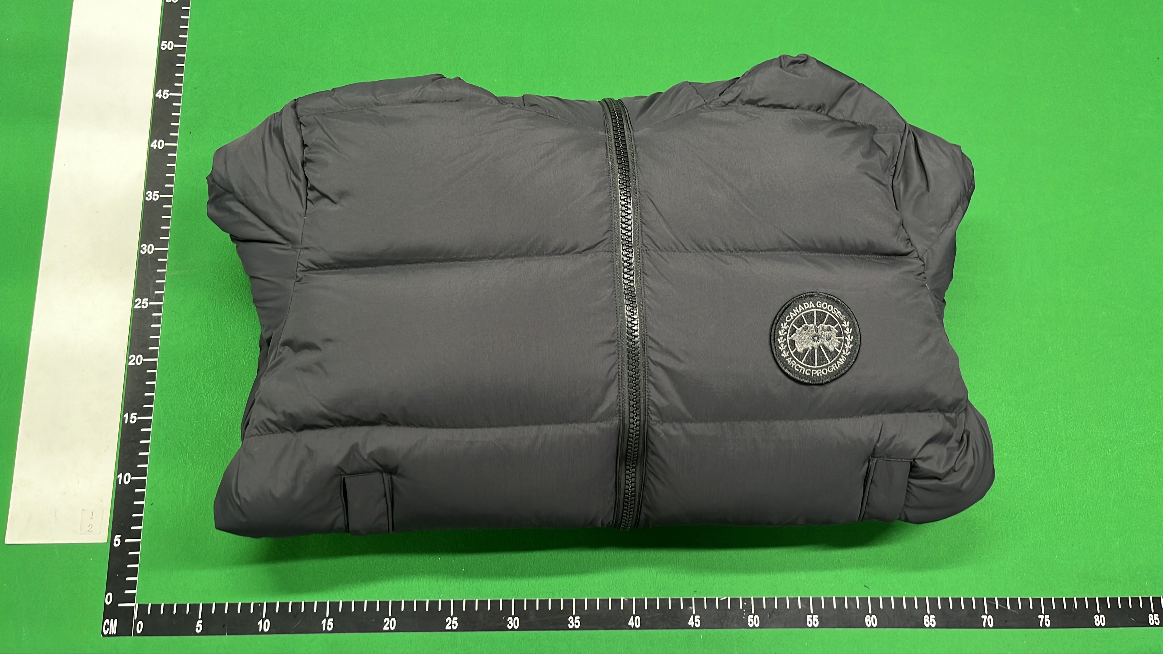 Canada Goose Puffer Jacket with Hood