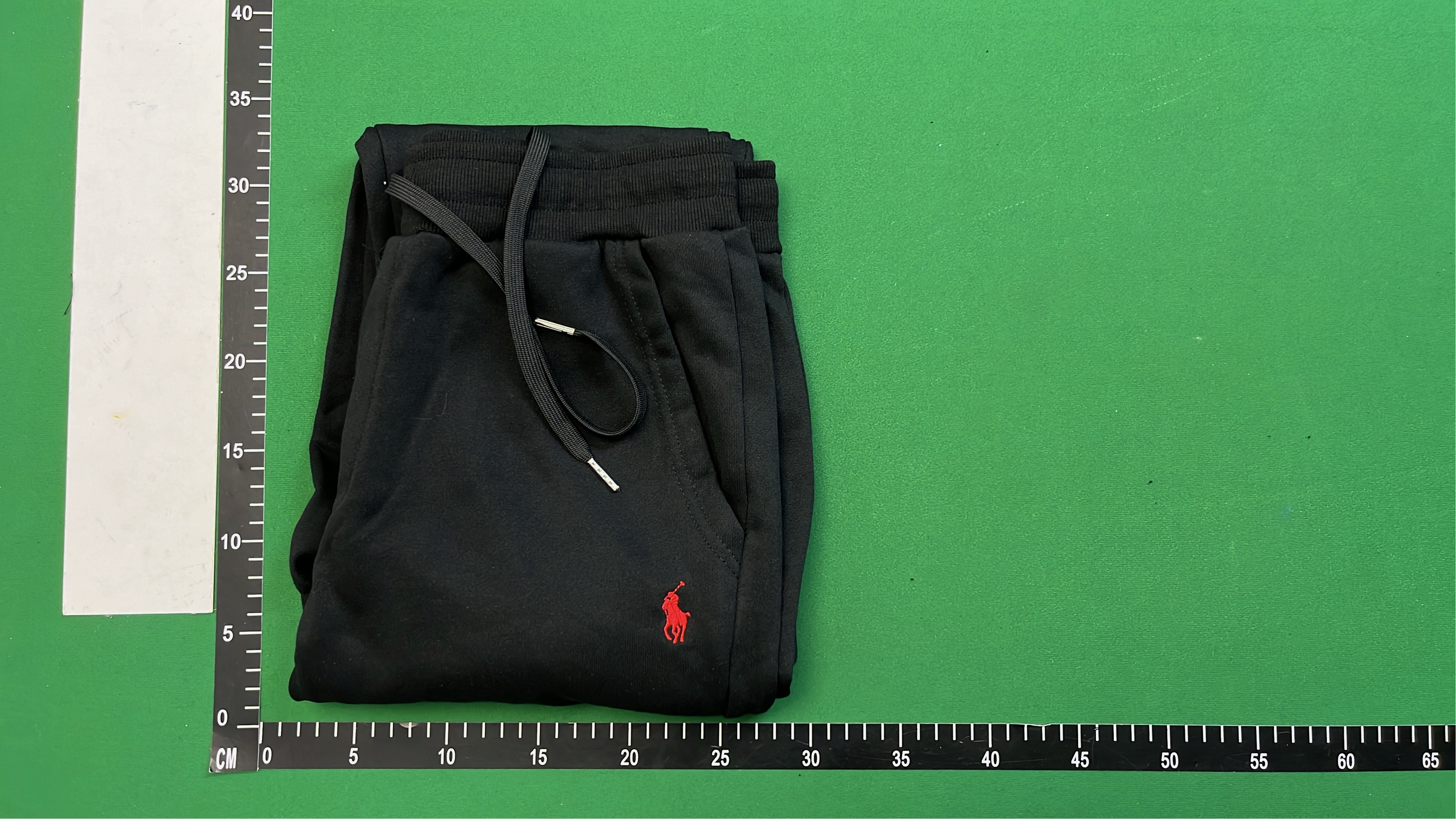 Polo Bear Hoodie - Classic Cotton Sweatshirt in Multiple Colors