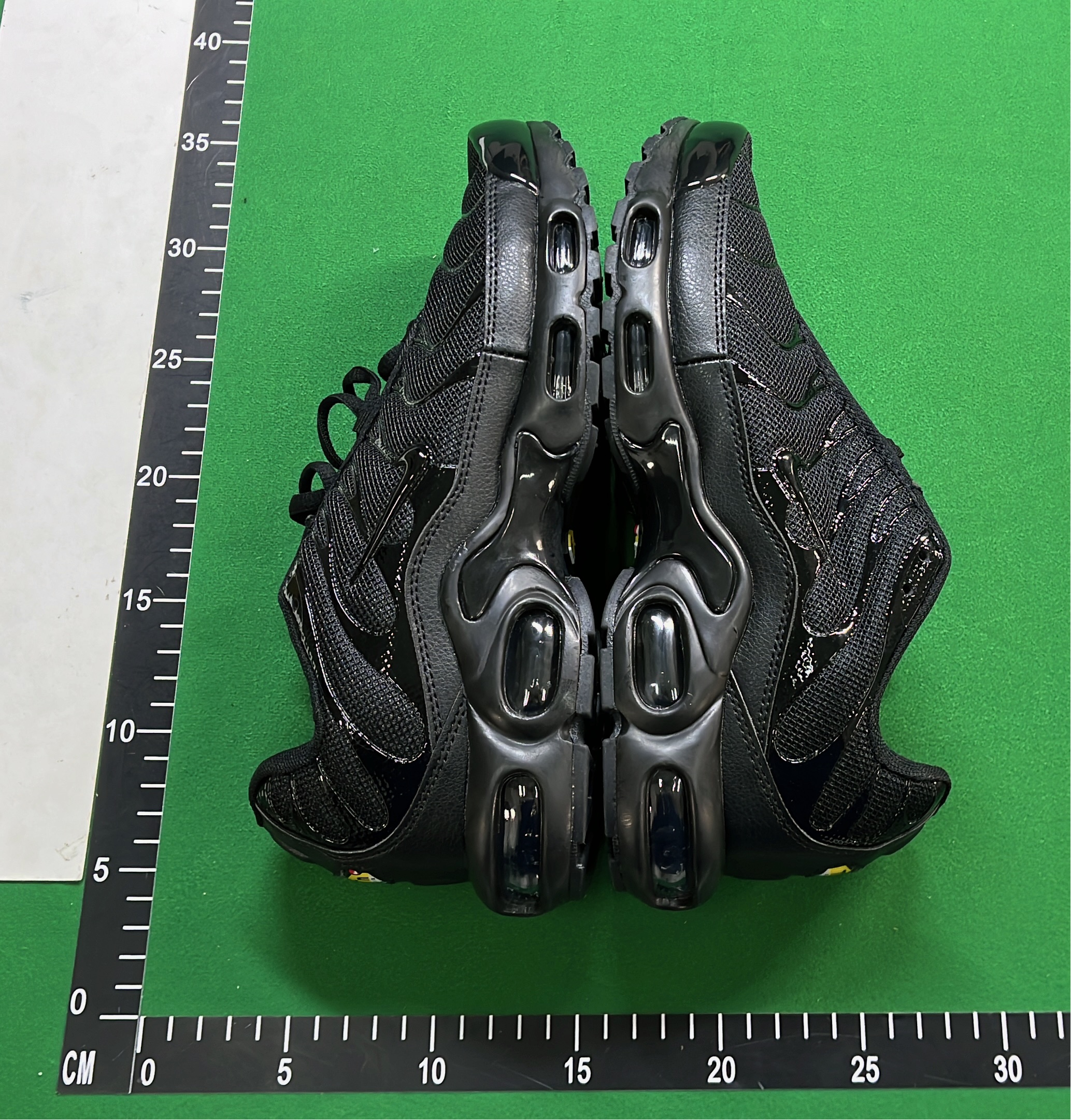 Nike Air Max Plus TN Sneakers for Men and Women