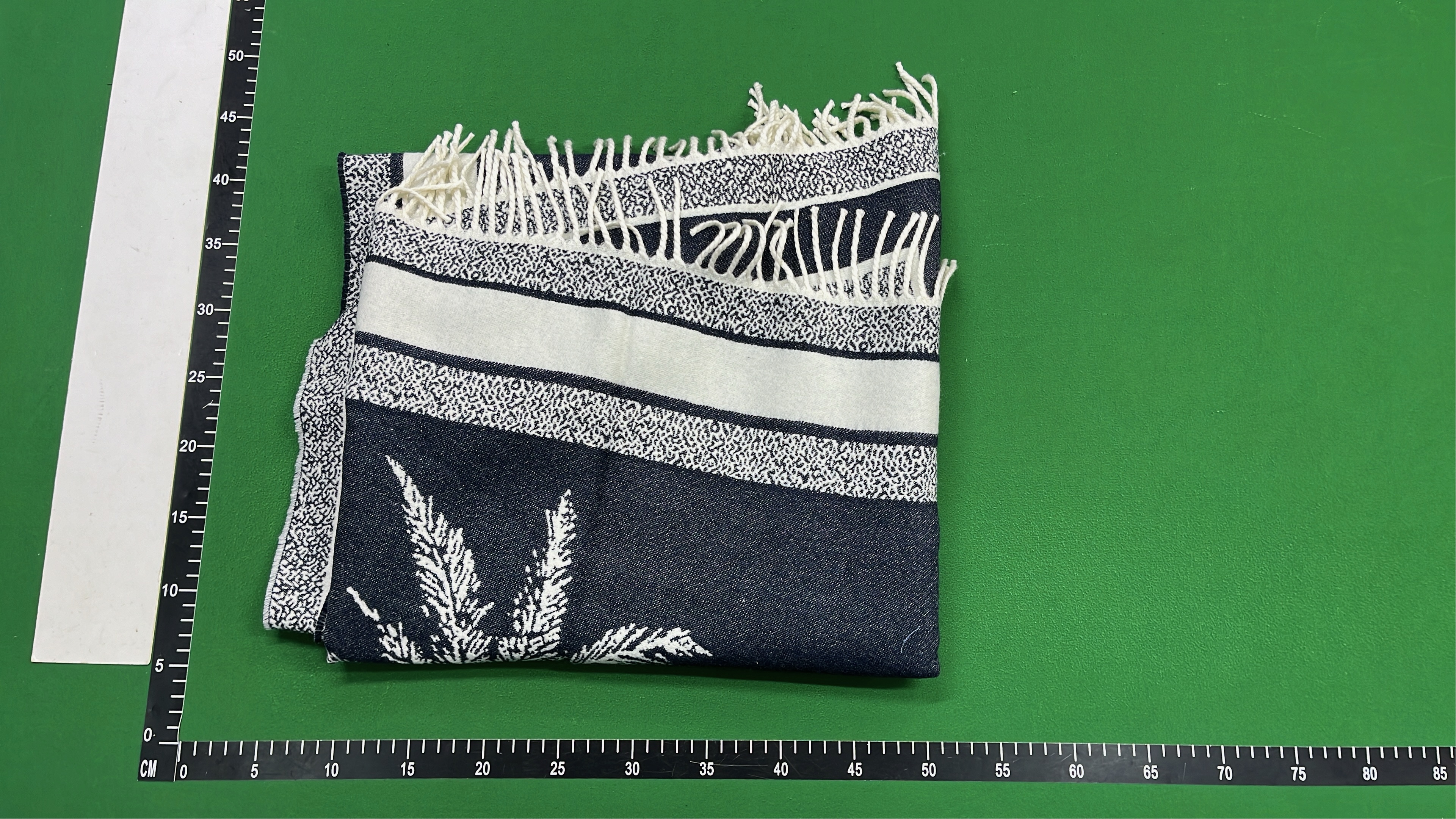 Christian Dior Printed Wool Scarf with Fringe Details