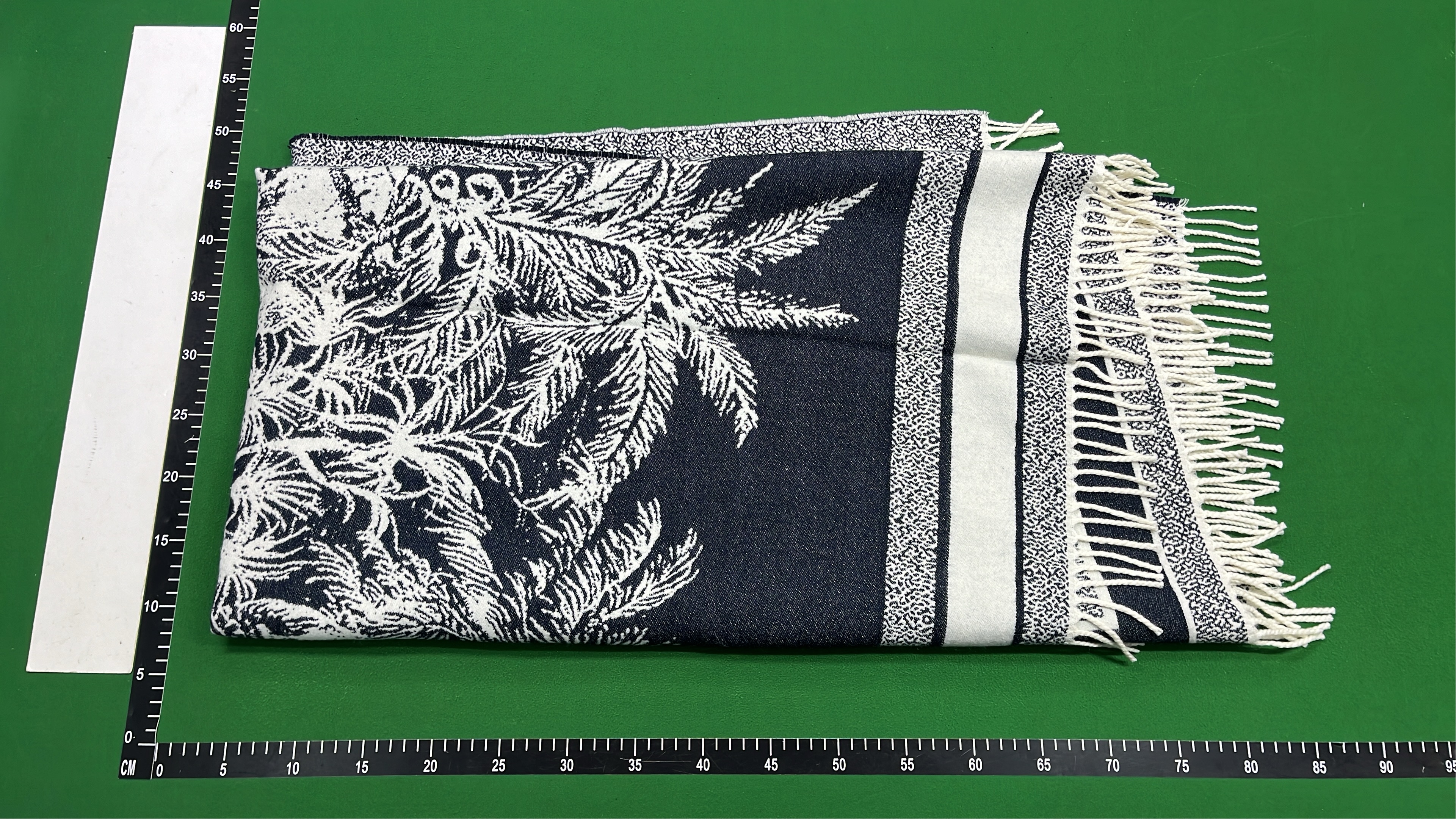 Christian Dior Printed Wool Scarf with Fringe Details
