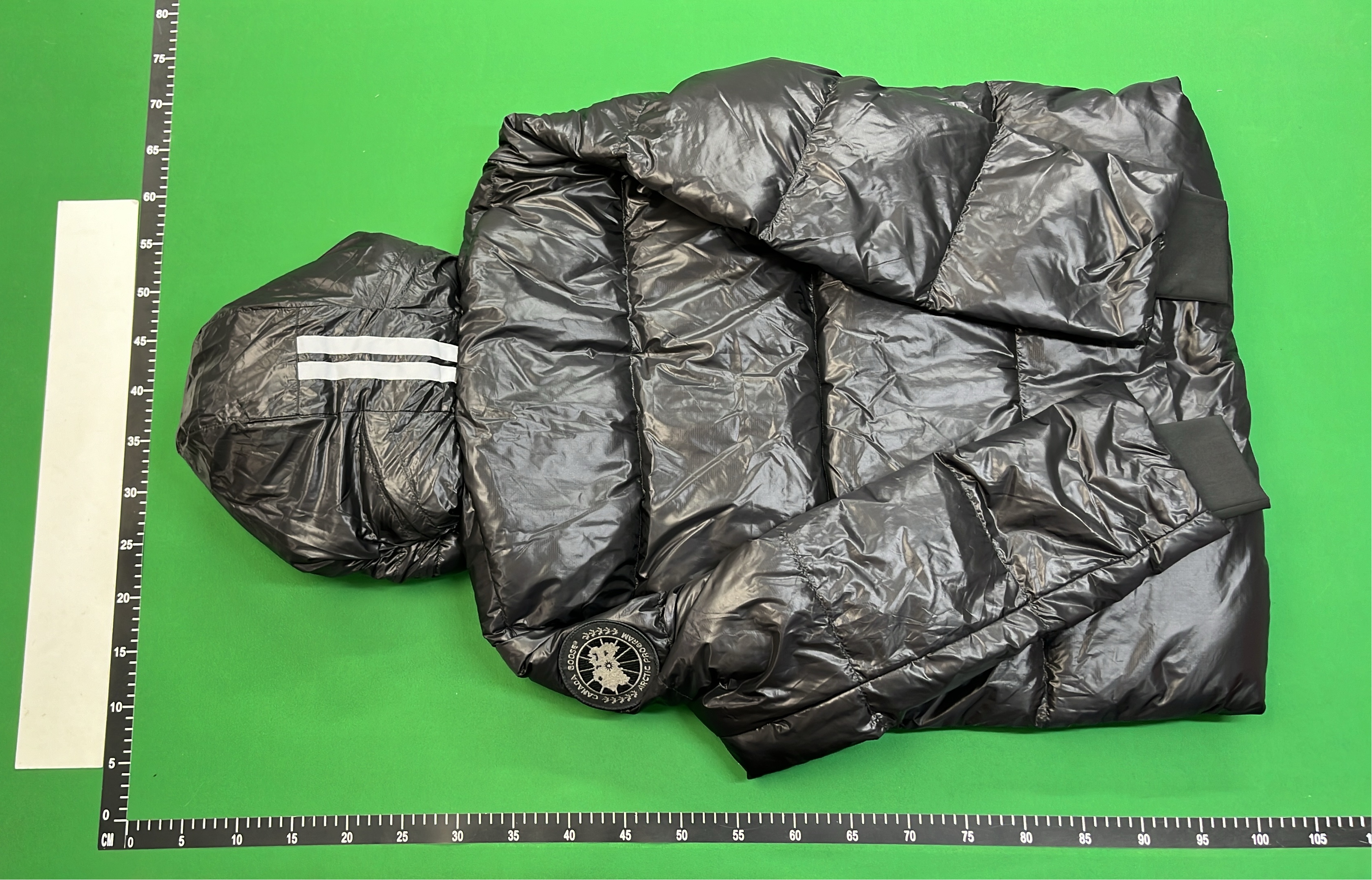 Canada Goose Black Puffer Jacket with Hood