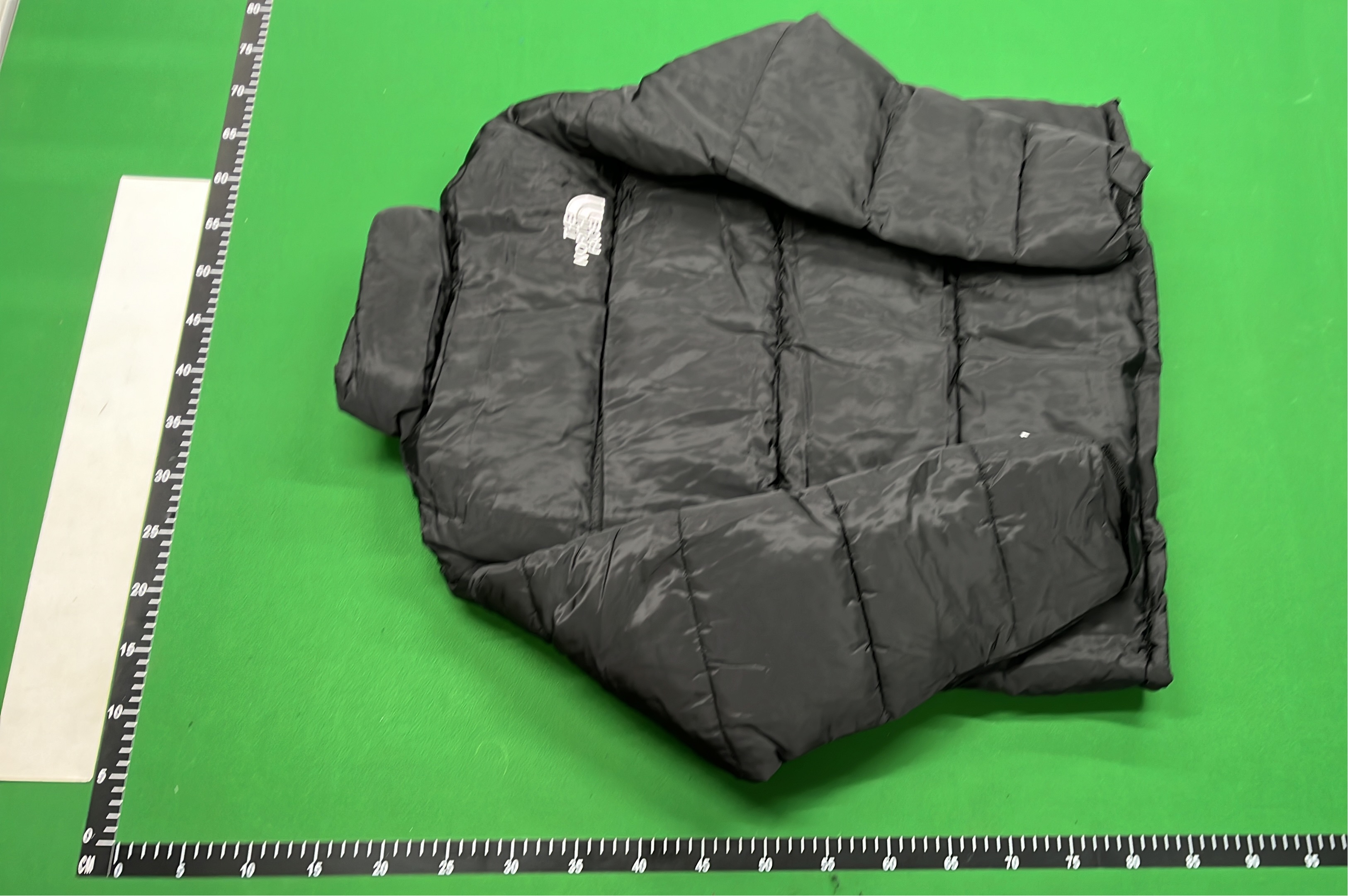 The North Face Nuptse Jacket