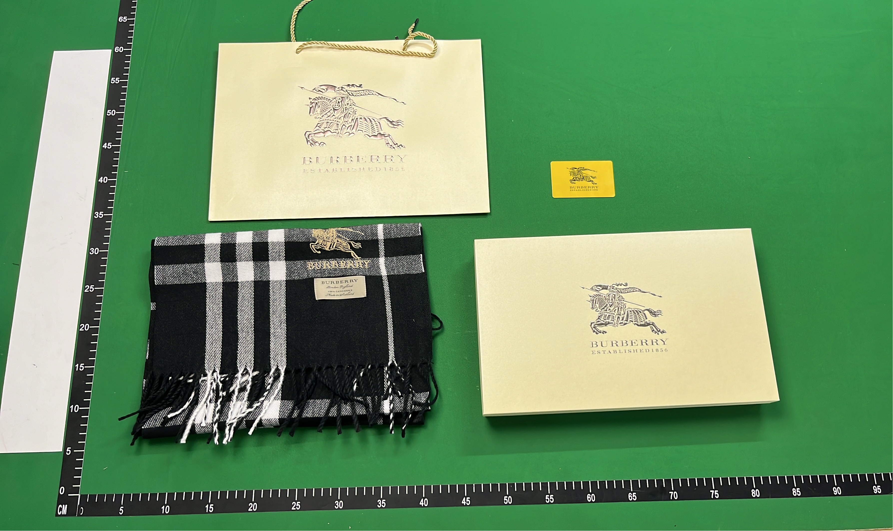 Burberry Classic Check Scarf
