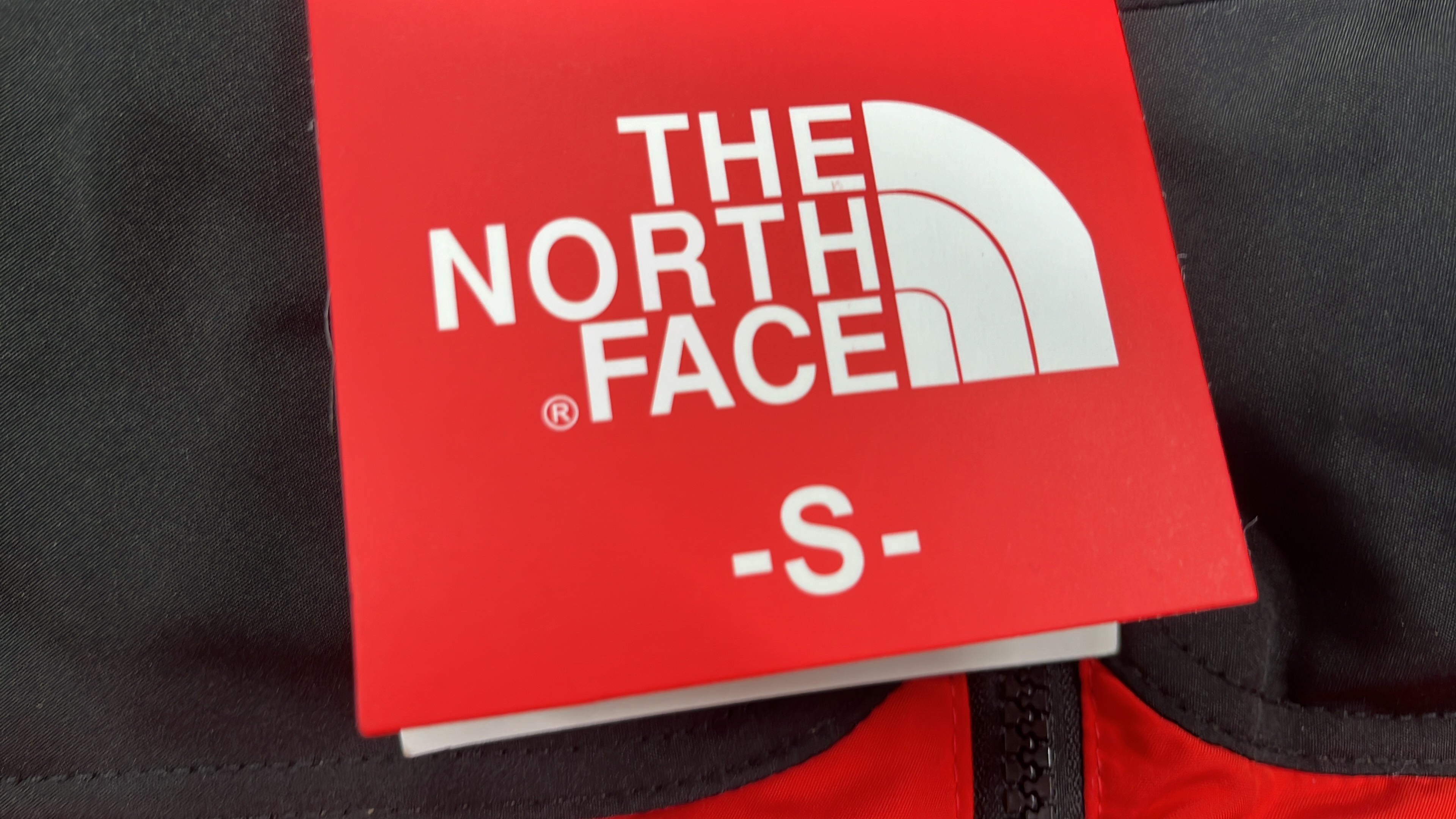 The North Face 700 Down Vest for Men