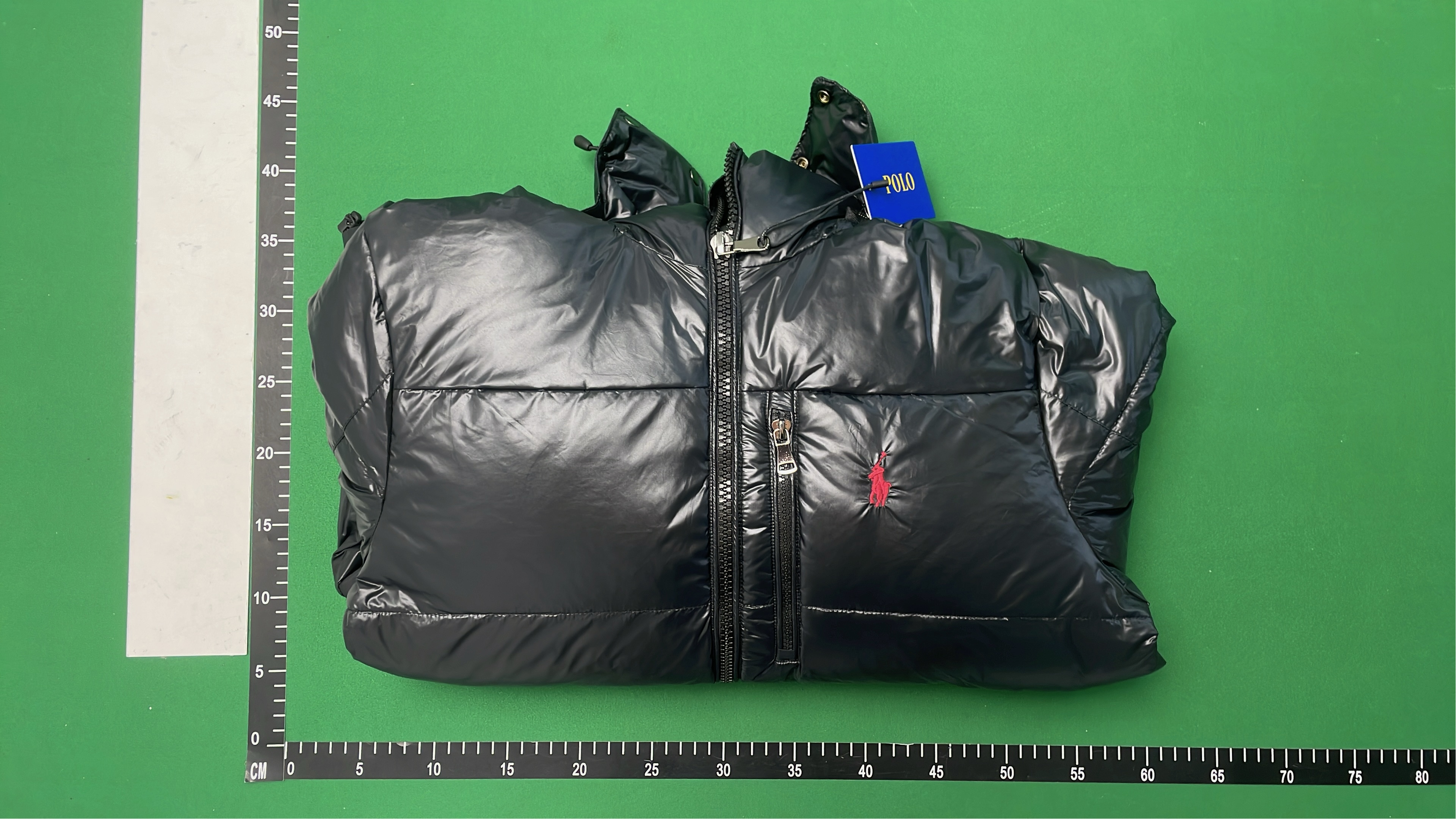 Men's Navy Blue Down Jacket with Hood - White Duck Down Filled