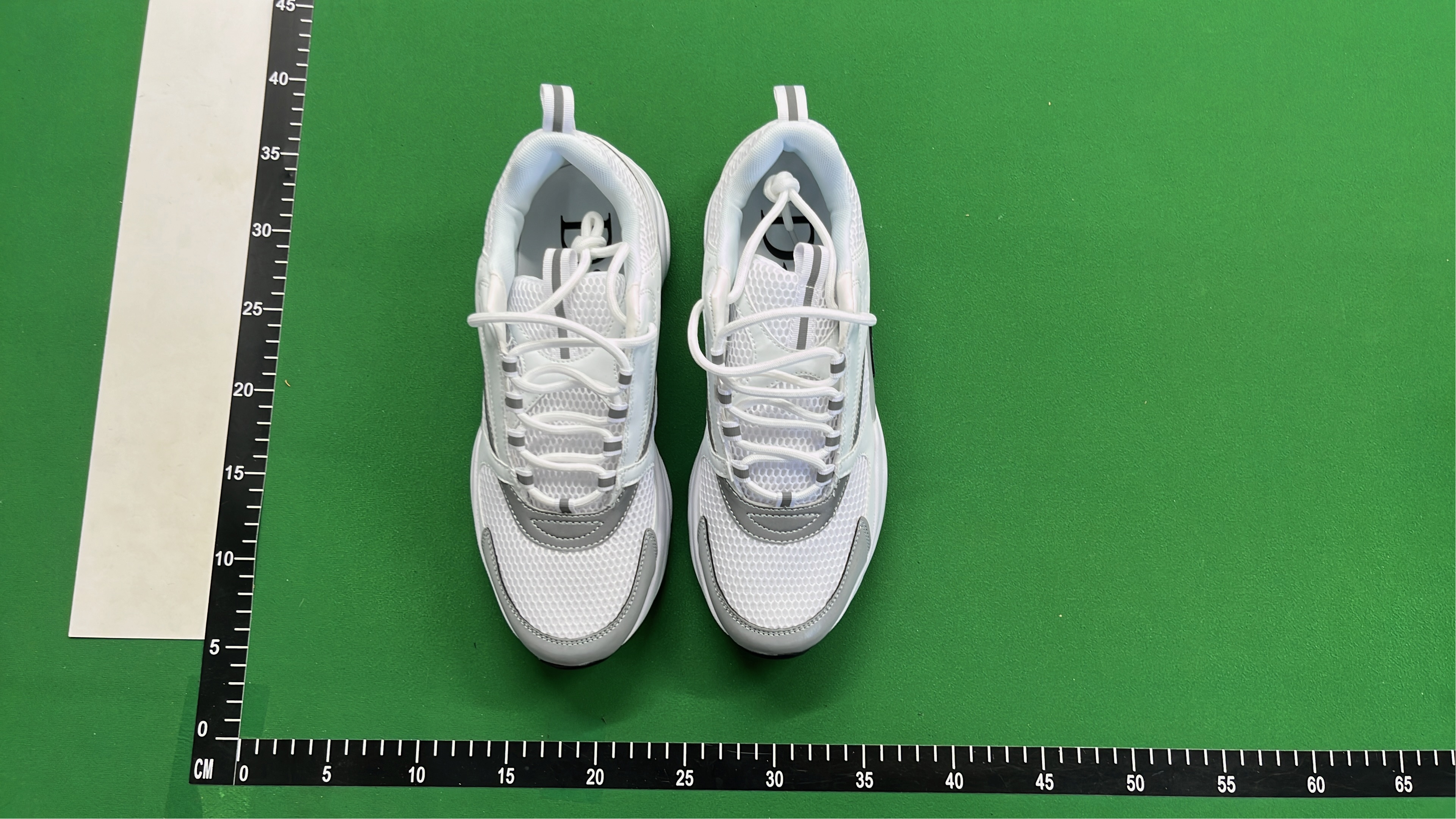 Dior Sneakers - Luxury Fashion Footwear for Men and Women