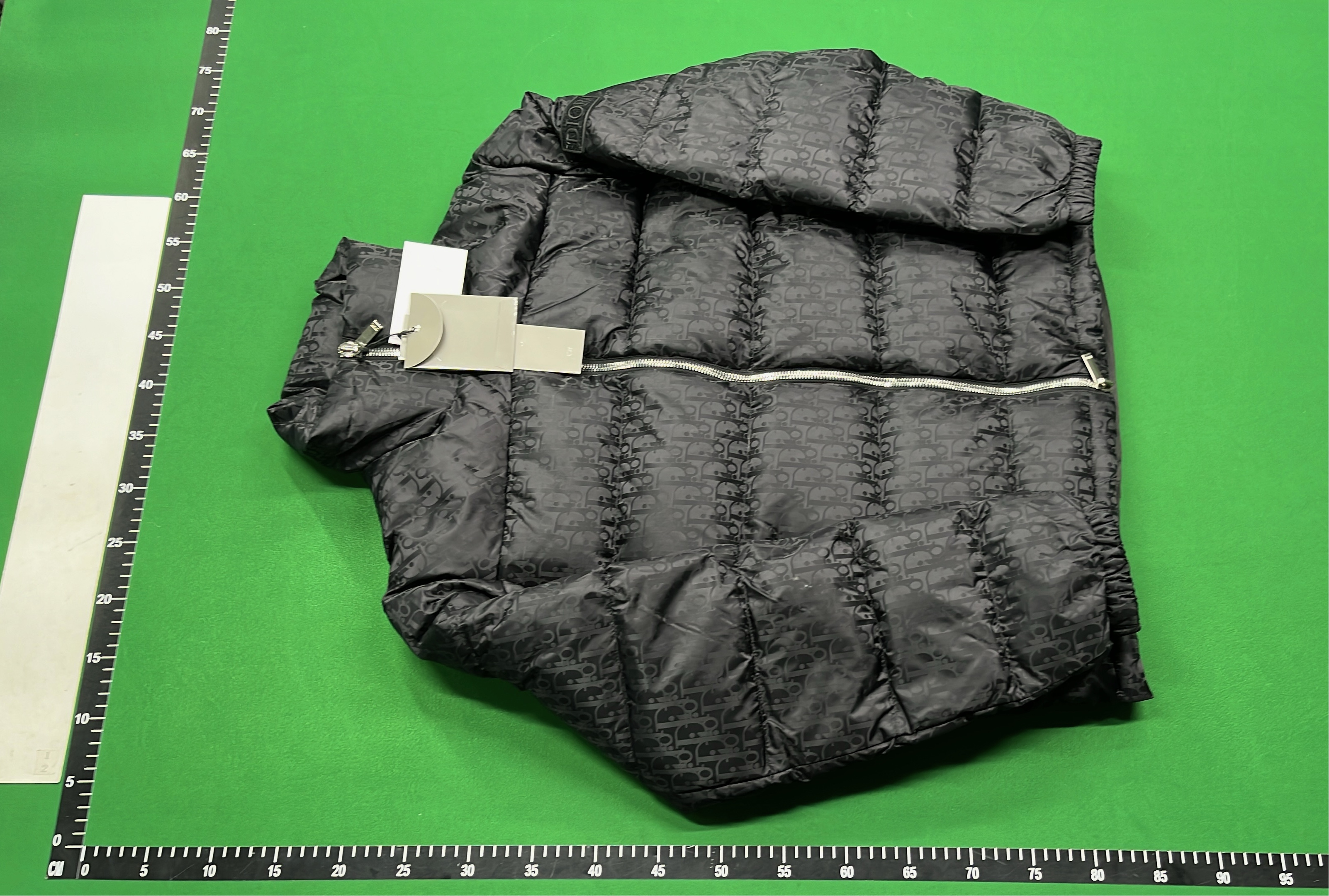 Dior Monogram Puffer Jacket for Men