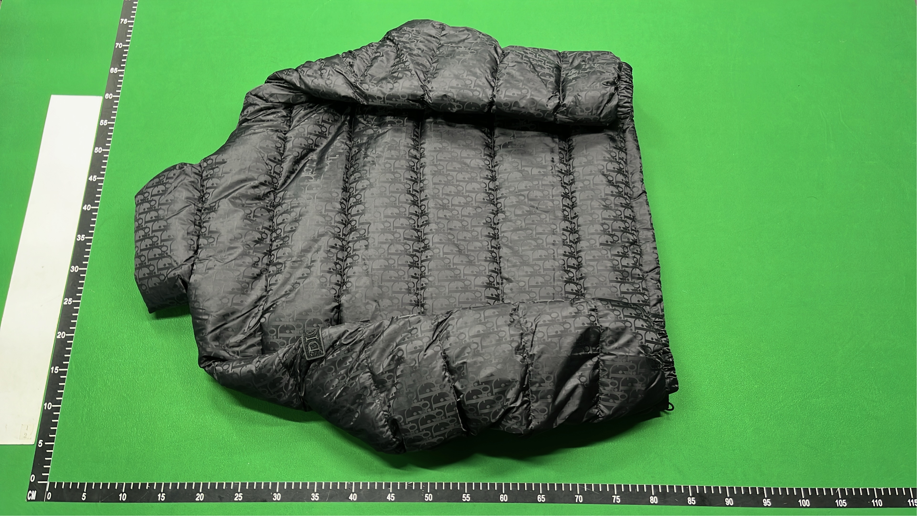 Dior Monogram Puffer Jacket for Men