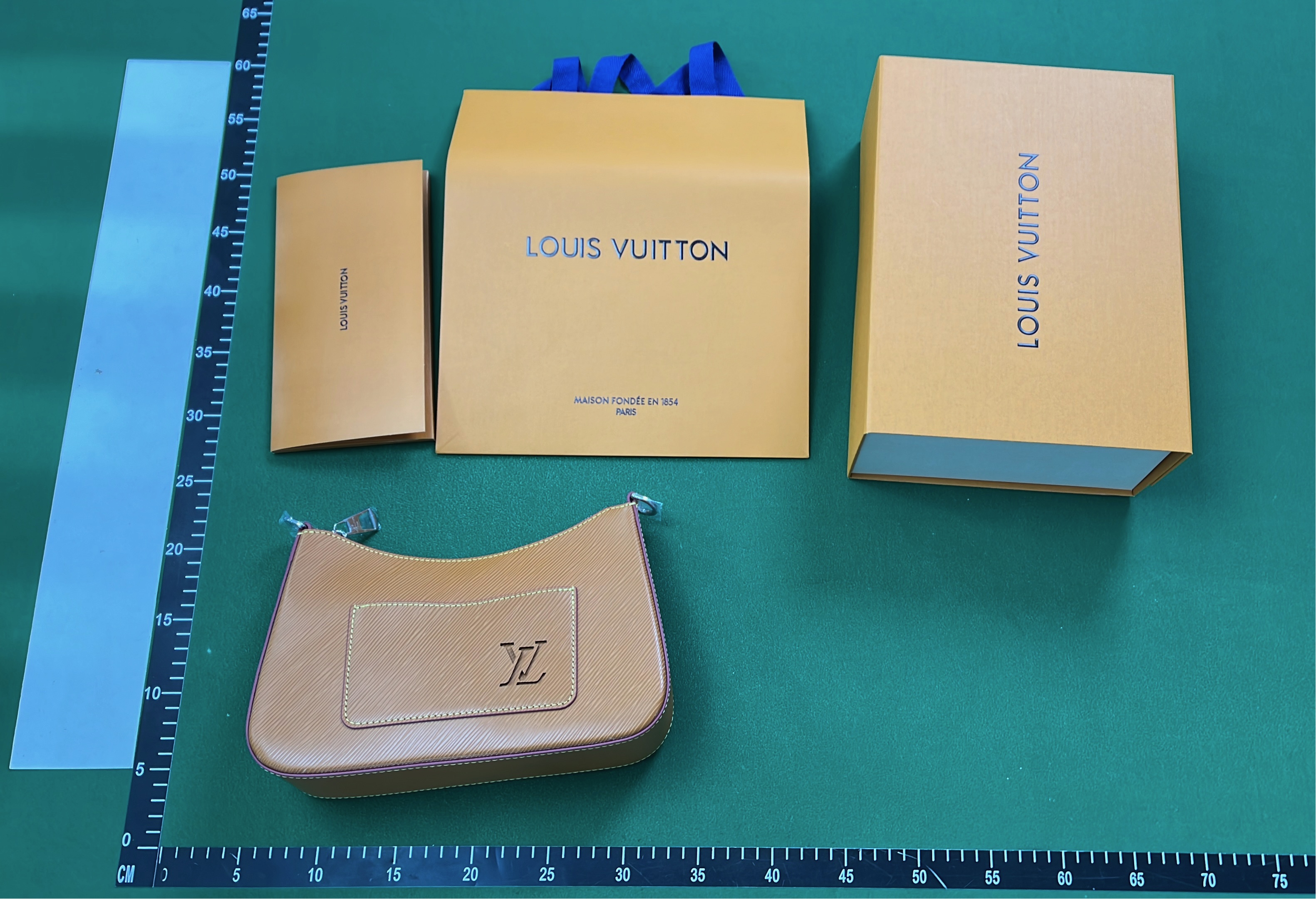 LV Epi Leather Hobo Bag with Chain Strap