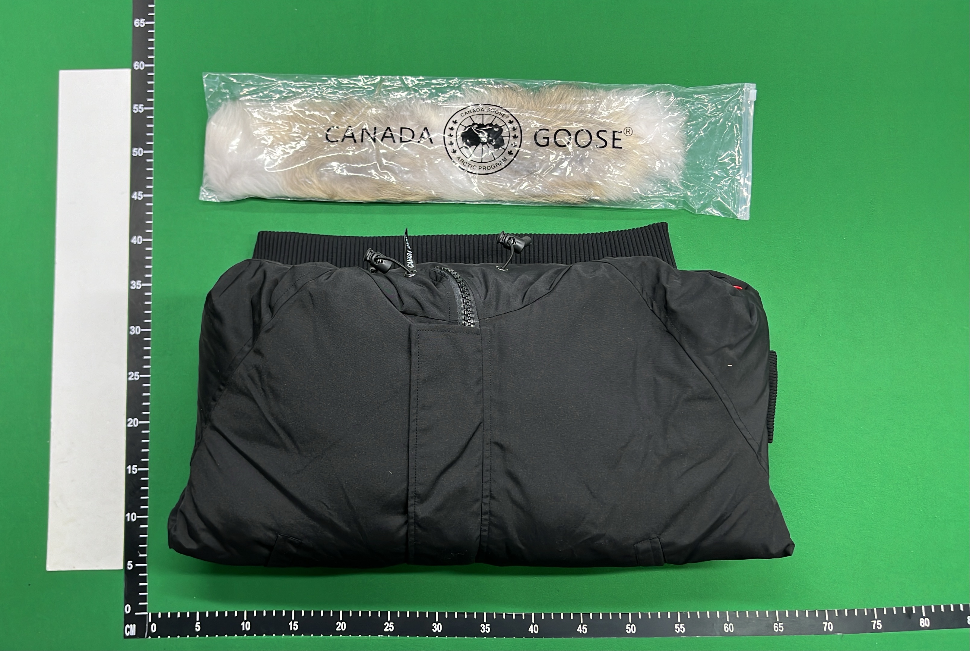 Canada Goose Down Jacket with Fur Trim Hood