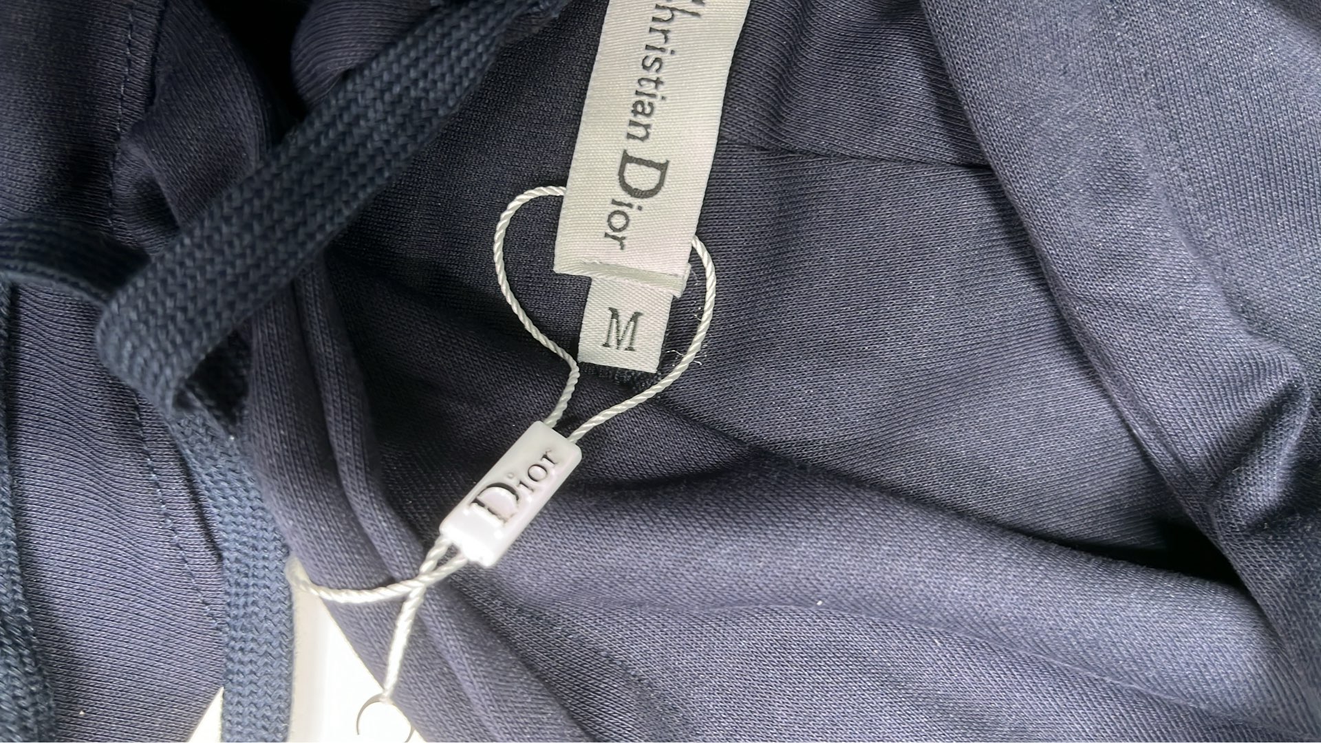 Dior Oblique Logo Hoodie Men's Sweatshirt