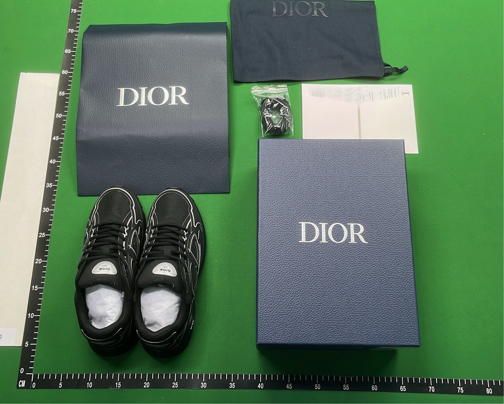Dior B27 Black Sneakers with White Accents