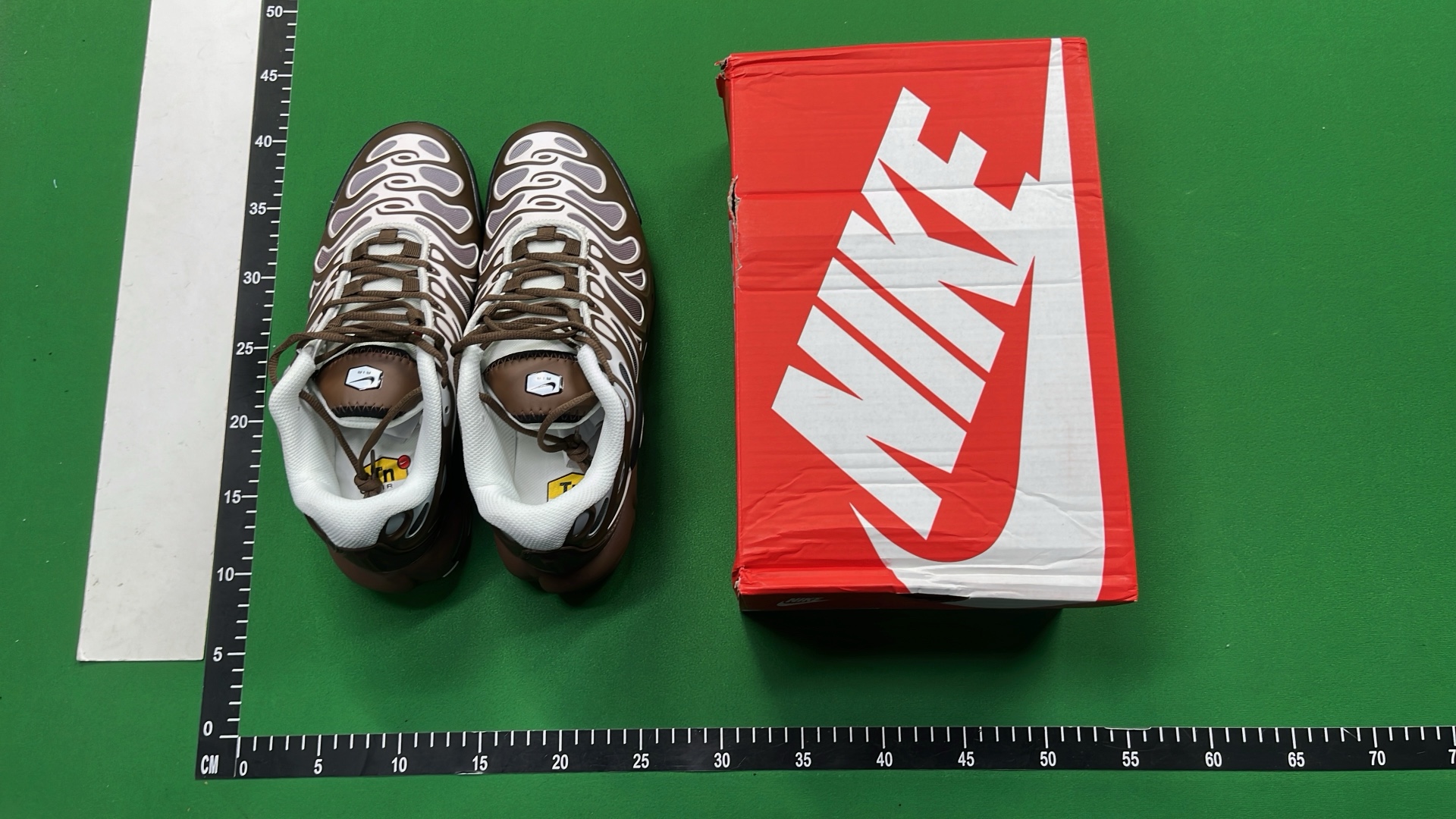 Nike Air Max Plus TN Sneakers