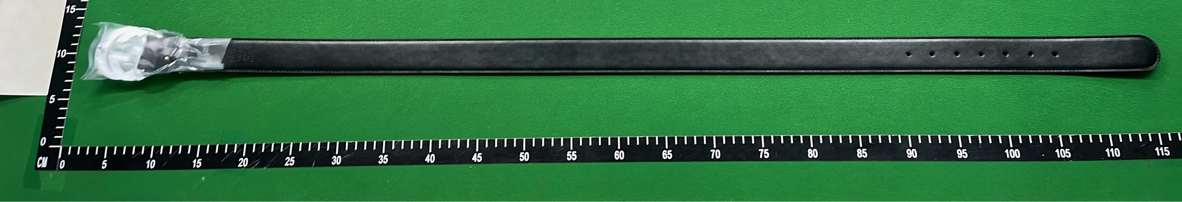 Gucci GG Belt with Interlocking G Buckle