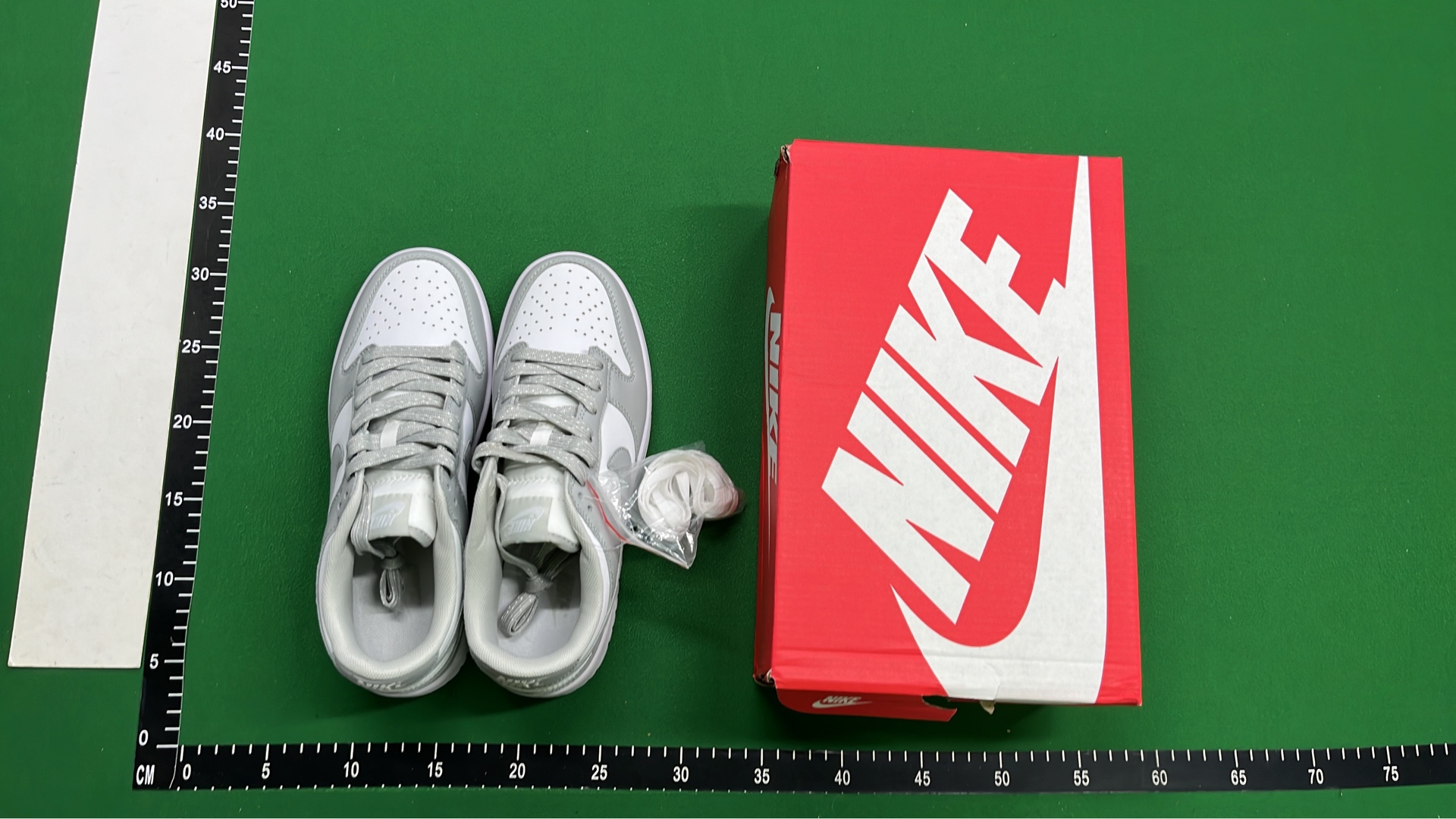 Nike Dunk Low Retro Shoes