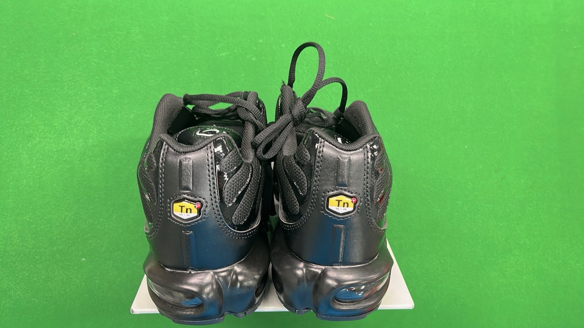 Nike Air Max Plus TN Sneakers for Men and Women