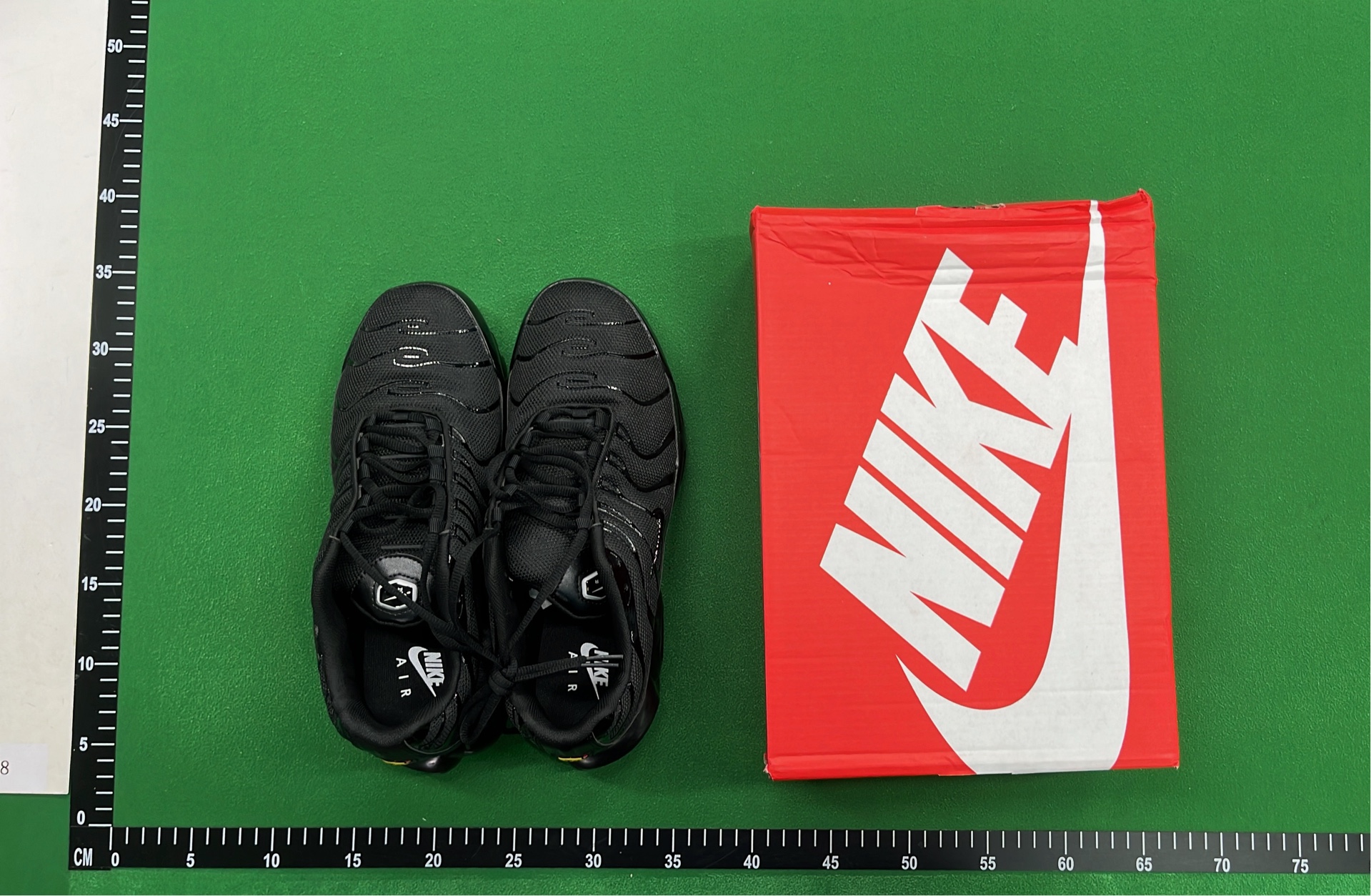 Nike Air Max Plus TN Sneakers for Men and Women