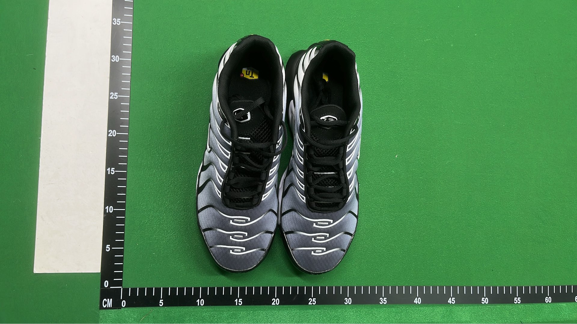 Nike Air Max Plus TN Sneakers for Men and Women