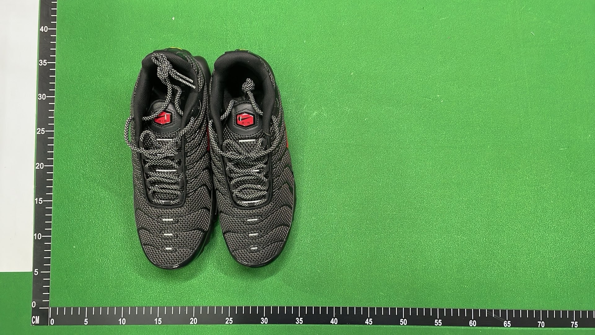 Nike Air Max Plus TN Sneakers for Men and Women