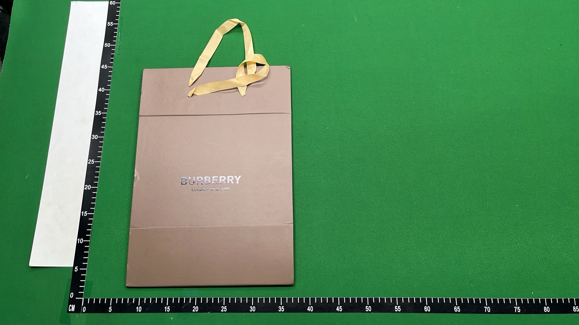 EcoBox Green Storage Box with Handle
