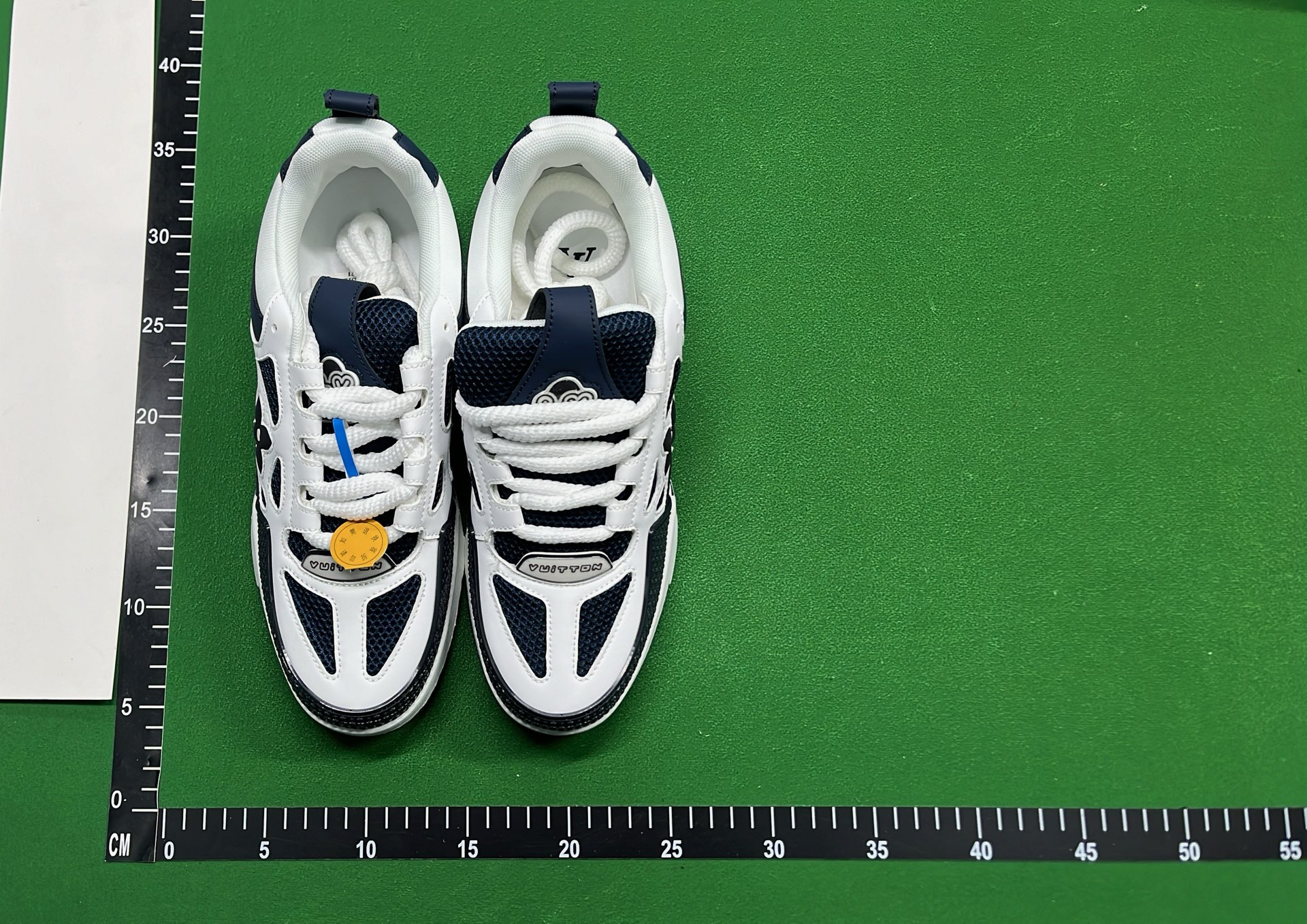 Louis Vuitton LV Trainer Sneakers - Limited Edition Luxury Shoes