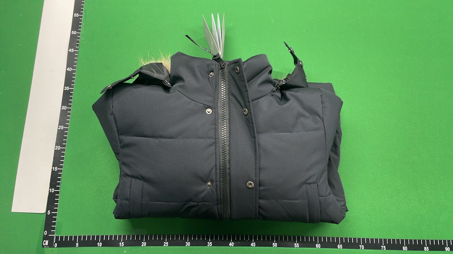 Canada Goose Men's Down Jacket with Fur Hood
