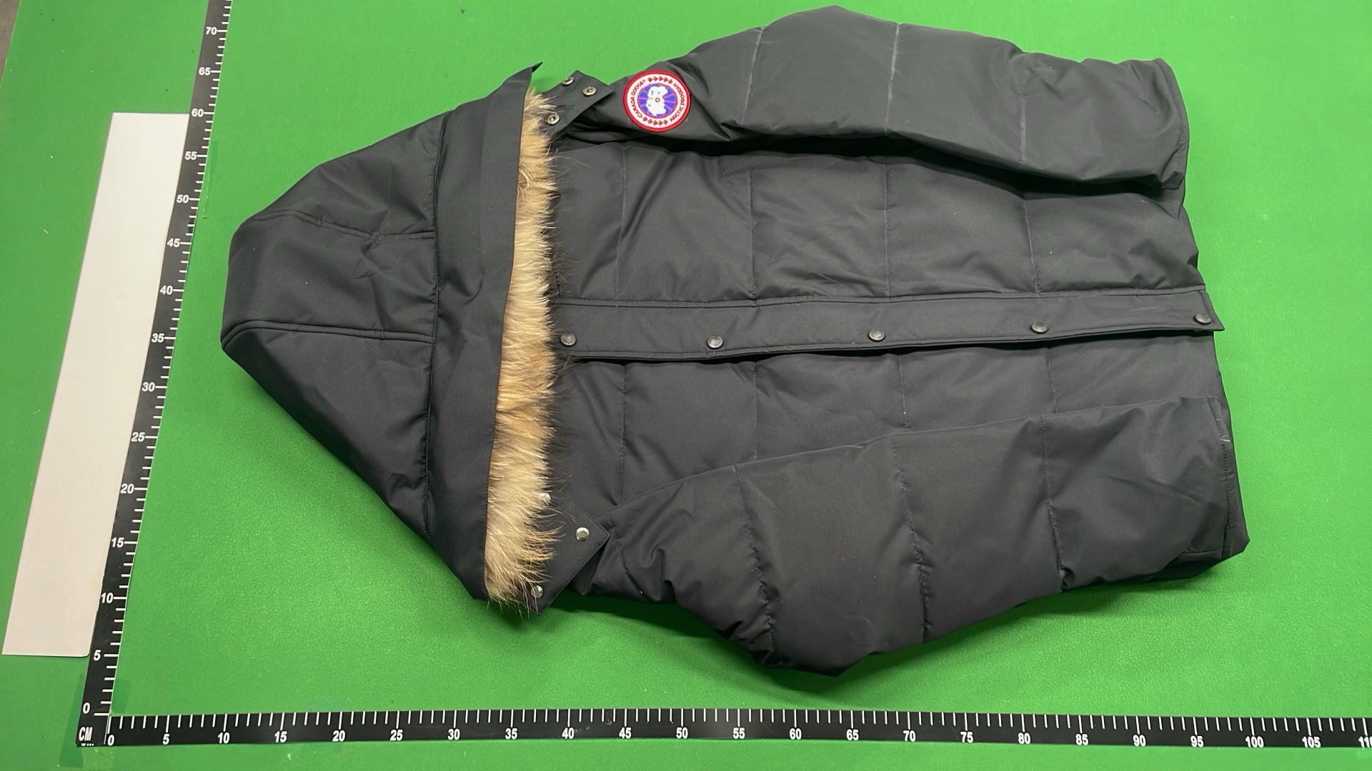 Canada Goose Men's Down Jacket with Fur Hood