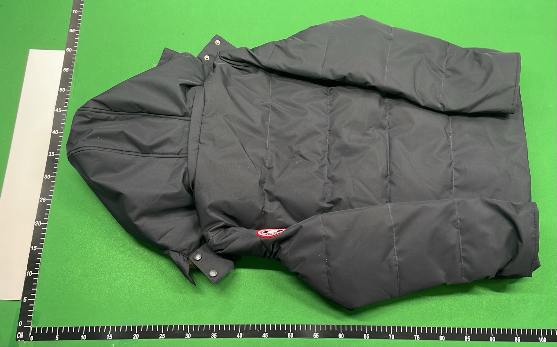 Canada Goose Men's Down Jacket with Fur Hood