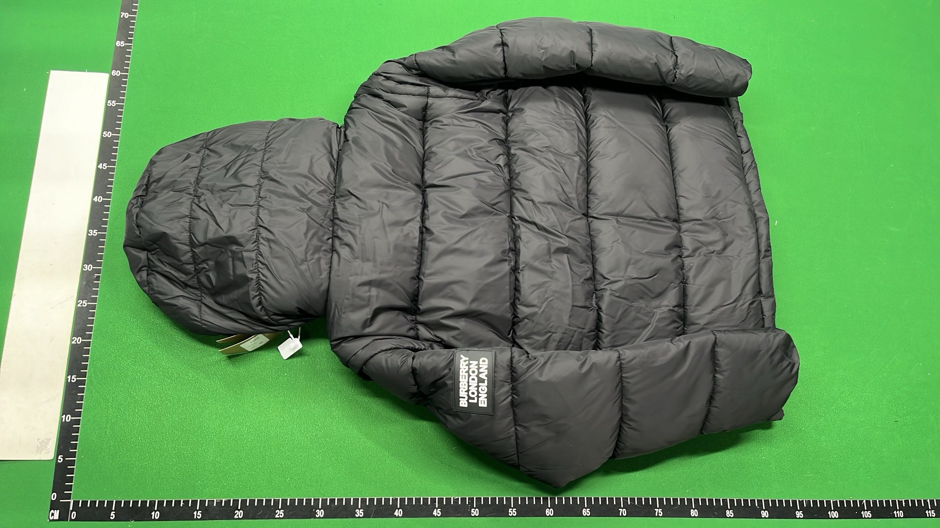 The North Face x Gucci Puffer Jacket