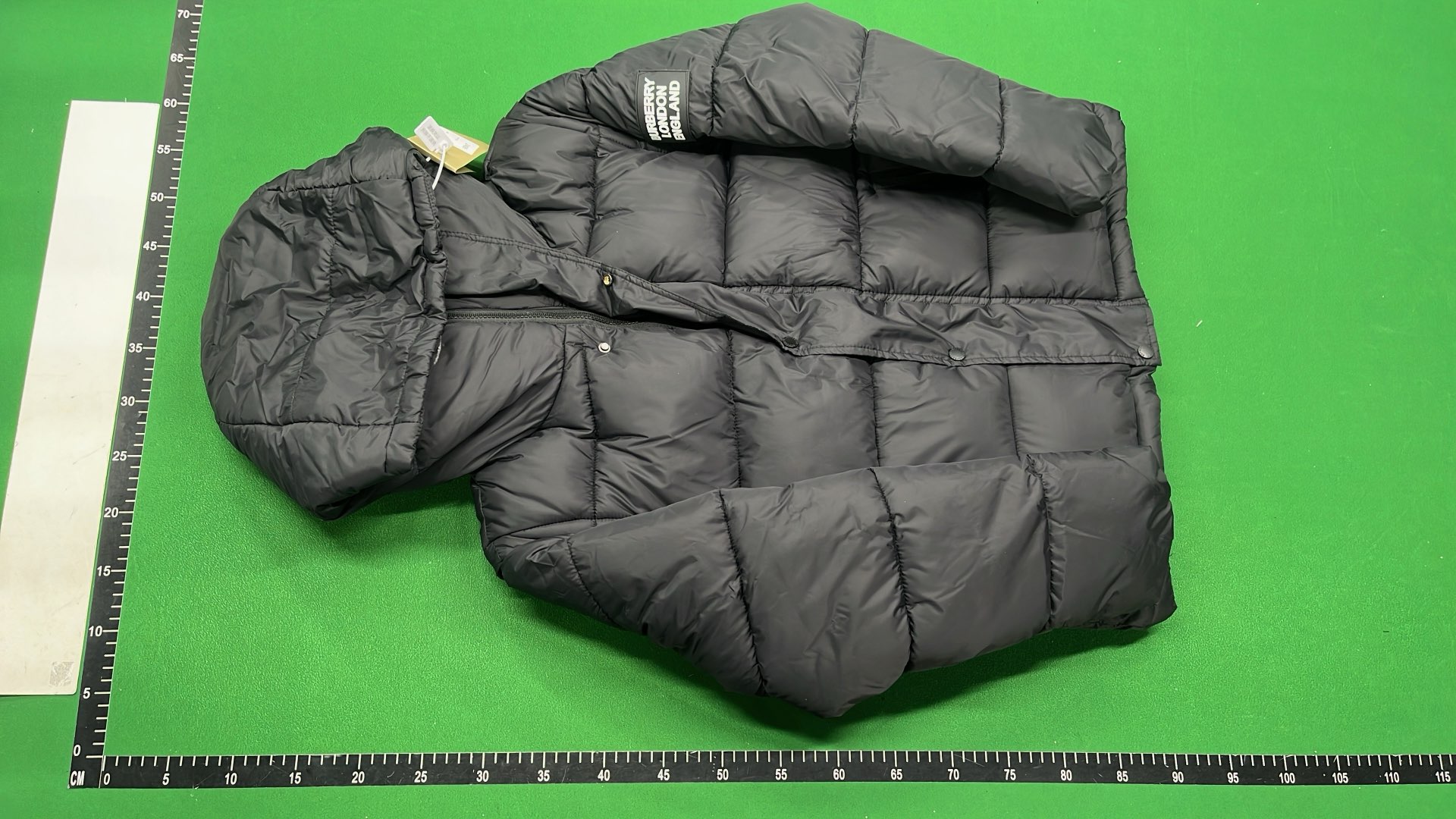 The North Face x Gucci Puffer Jacket