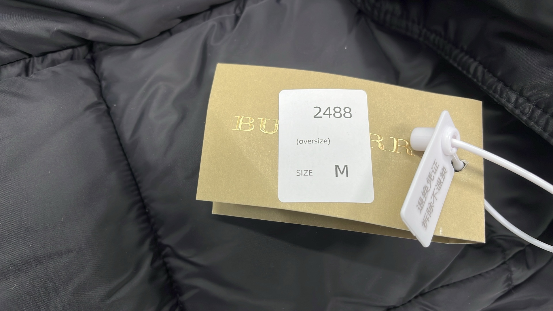 The North Face x Gucci Puffer Jacket