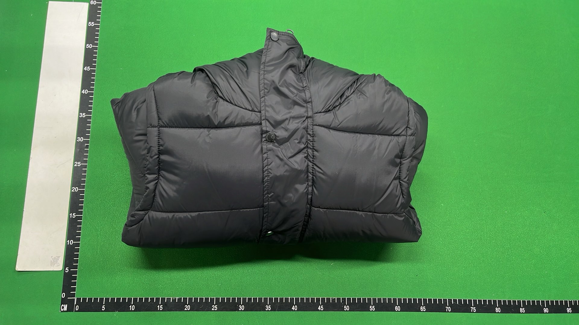 The North Face x Gucci Puffer Jacket