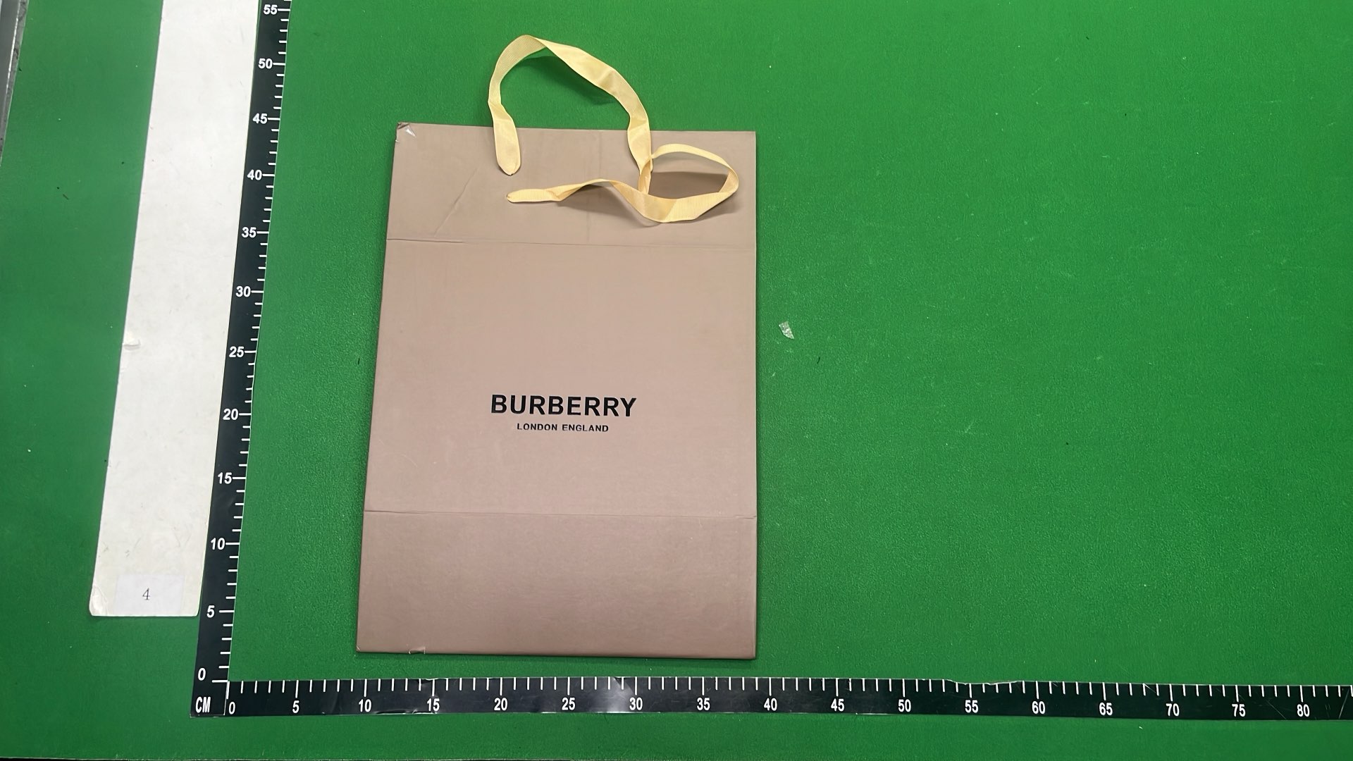 EcoBox Green Storage Box with Handle