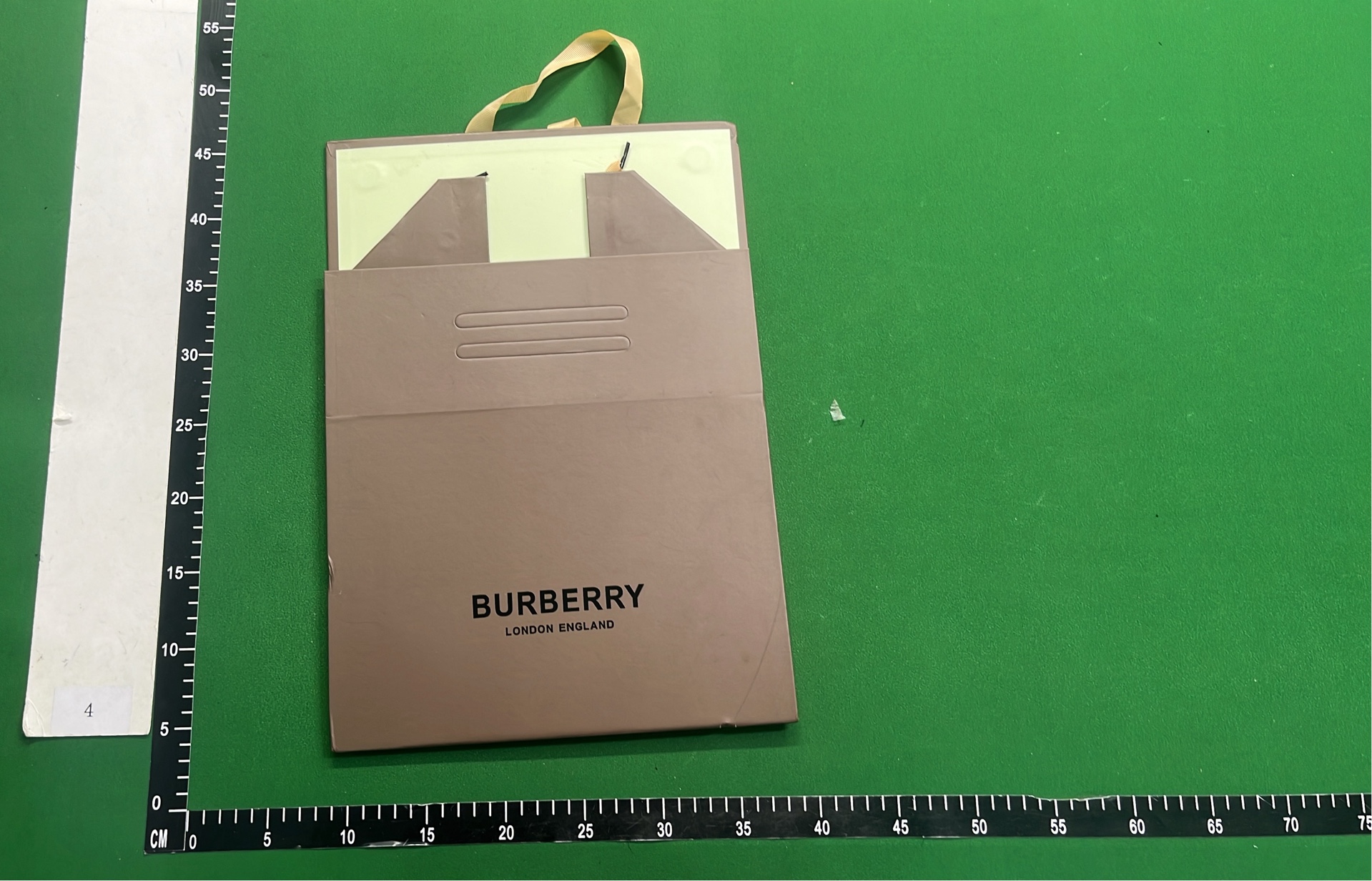 EcoBox Green Storage Box with Handle