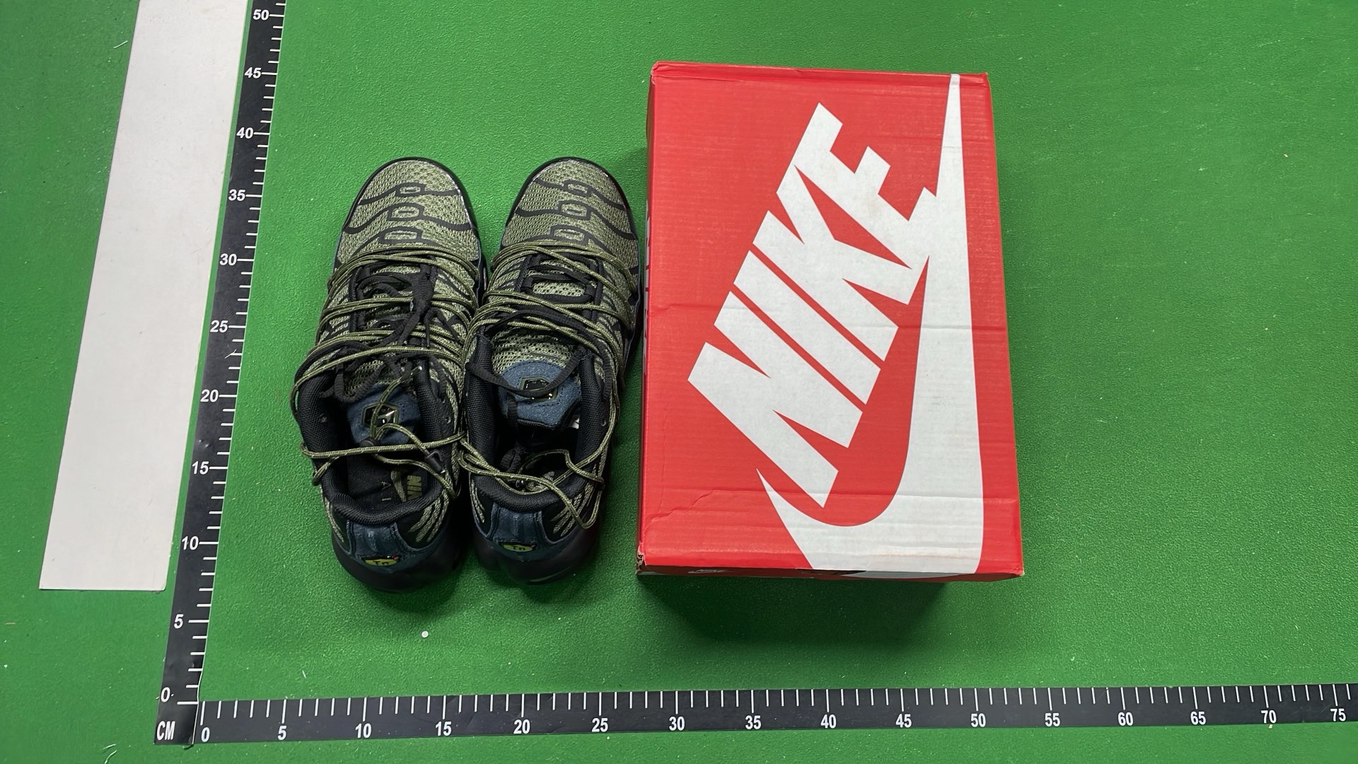 Nike Air Max Plus TN Sneakers for Men and Women