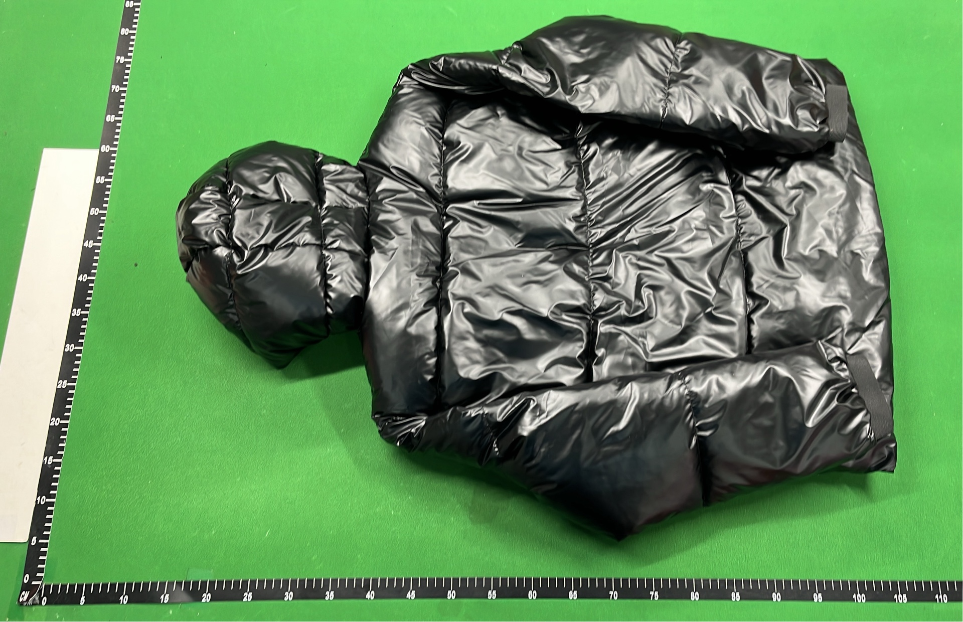 The North Face x Gucci Puffer Jacket